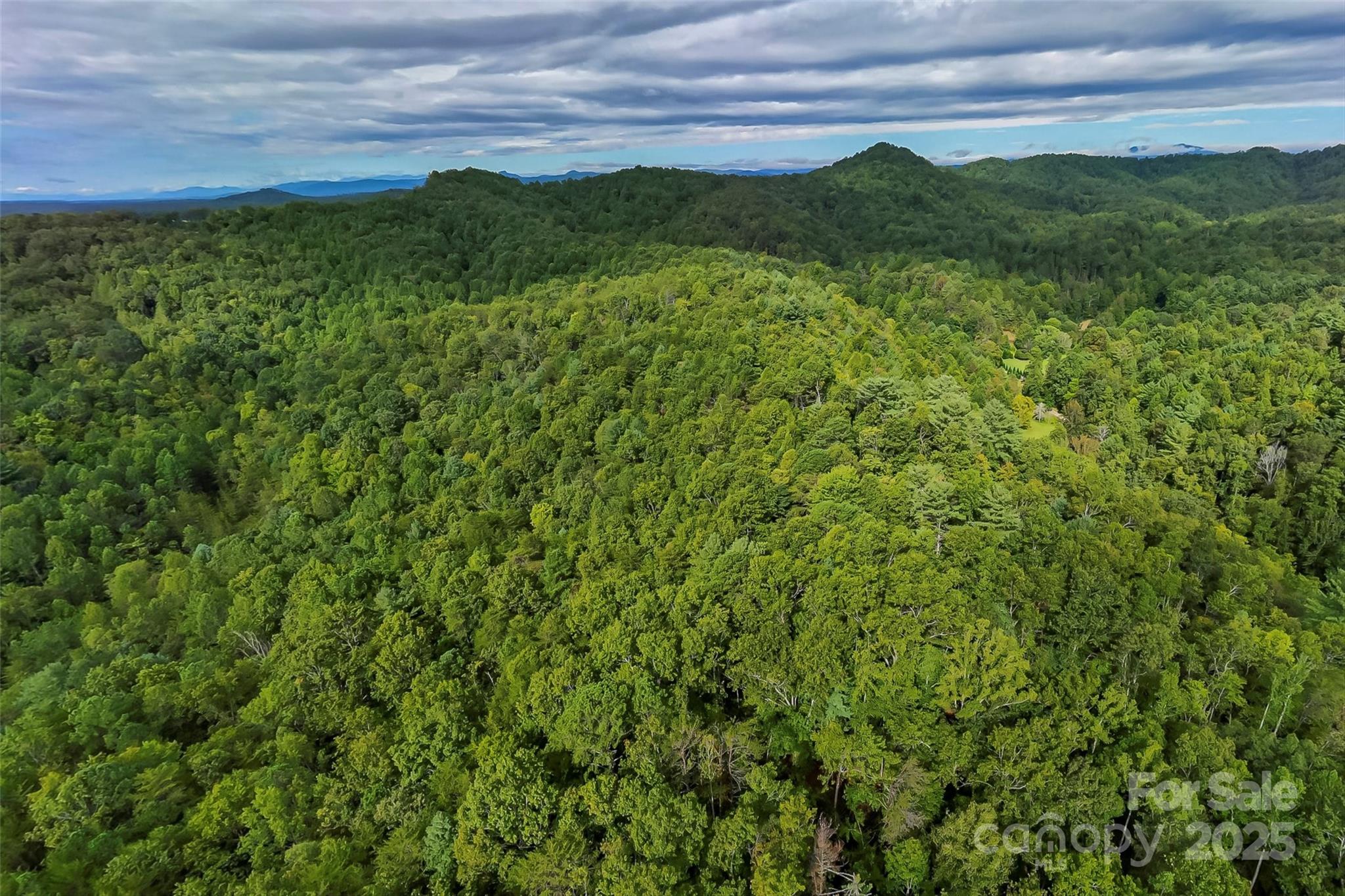 2636 Cheraw Road Property Photo 7