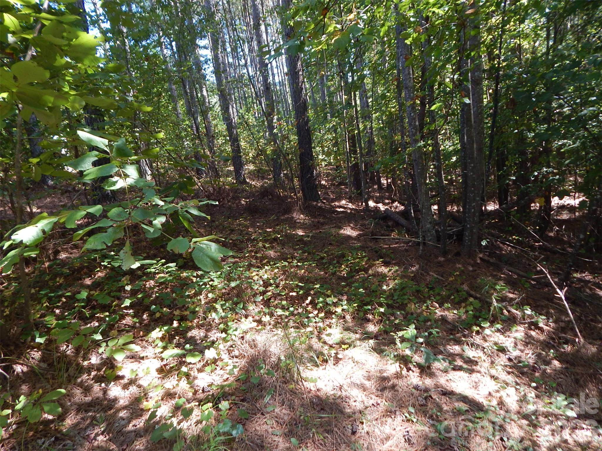335 Table Rock Trace 154 Property Photo 3