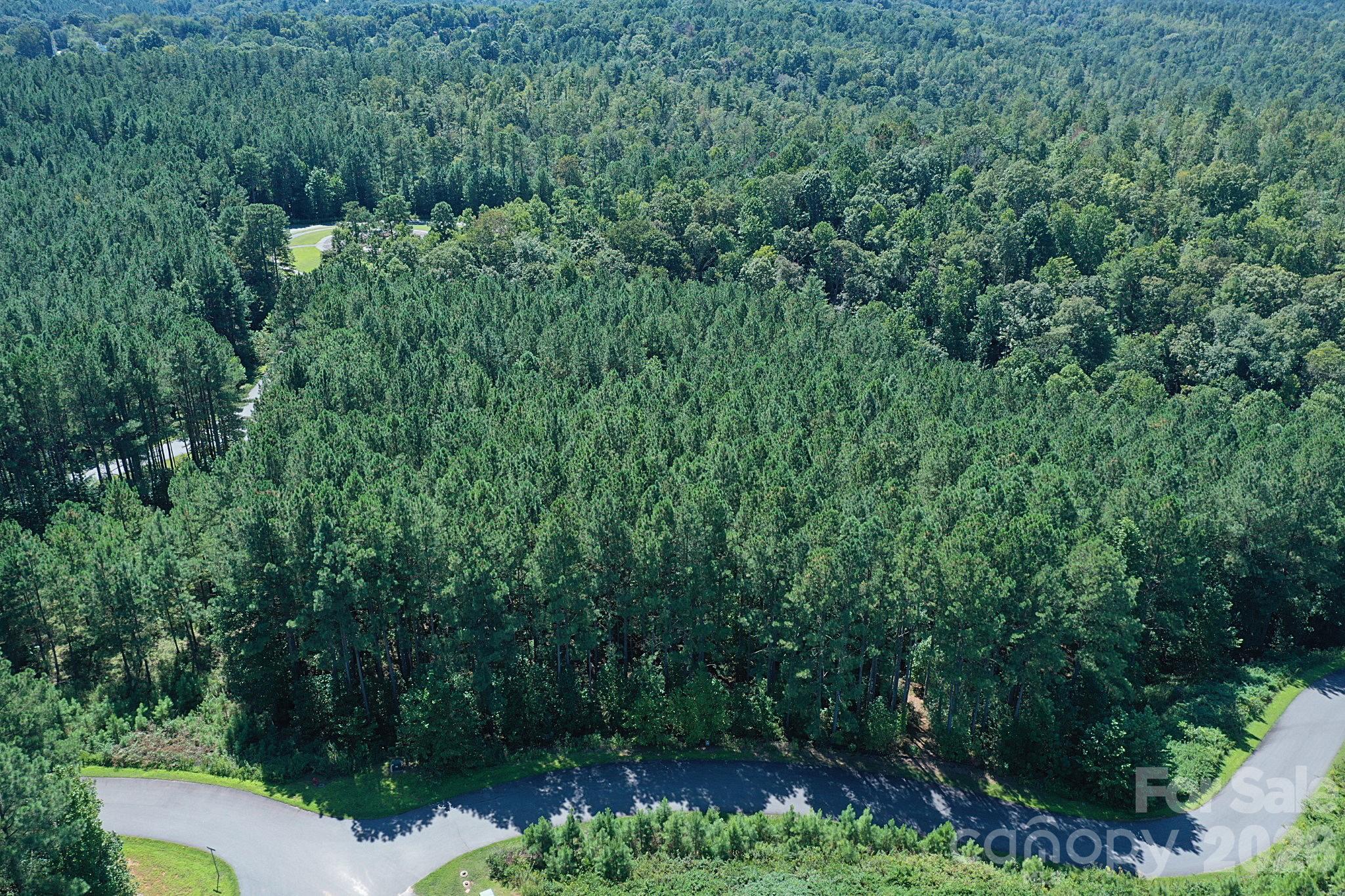 335 Table Rock Trace 154 Property Photo 23