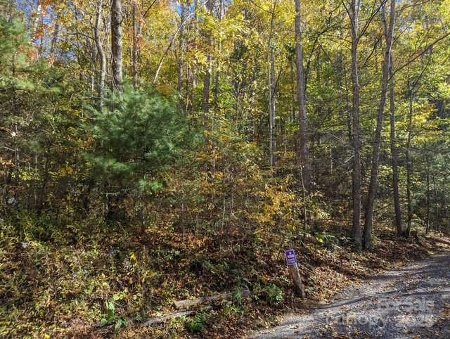 00 White Oak Road Property Photo 1