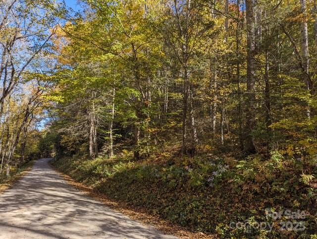 00 White Oak Road Property Photo 2