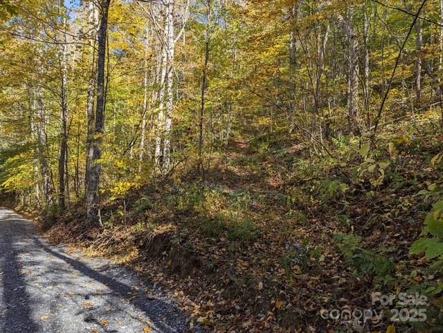 00 White Oak Road Property Photo 3