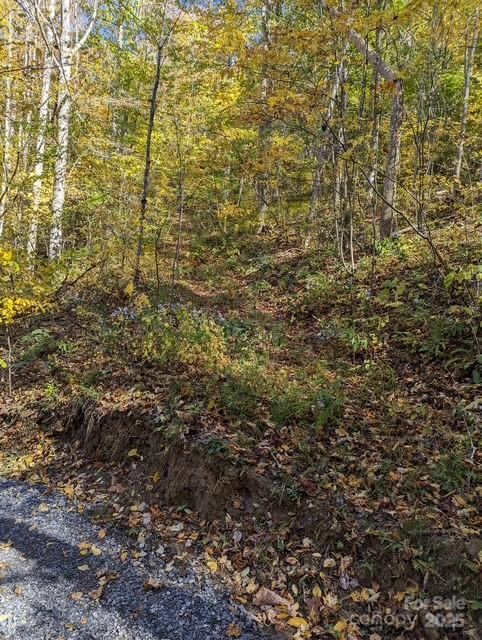 00 White Oak Road Property Photo 4