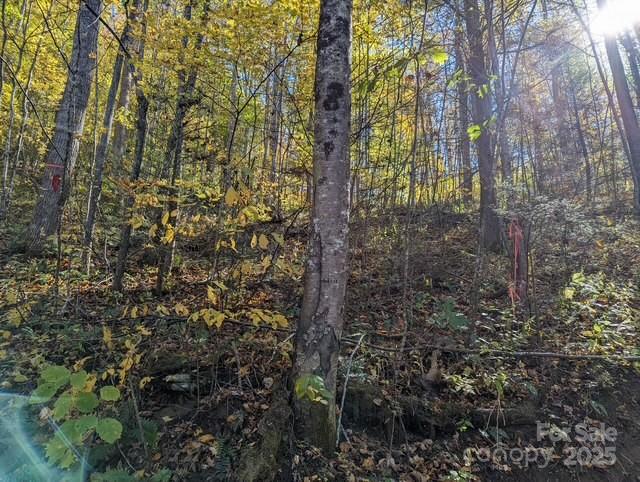 00 White Oak Road Property Photo 5