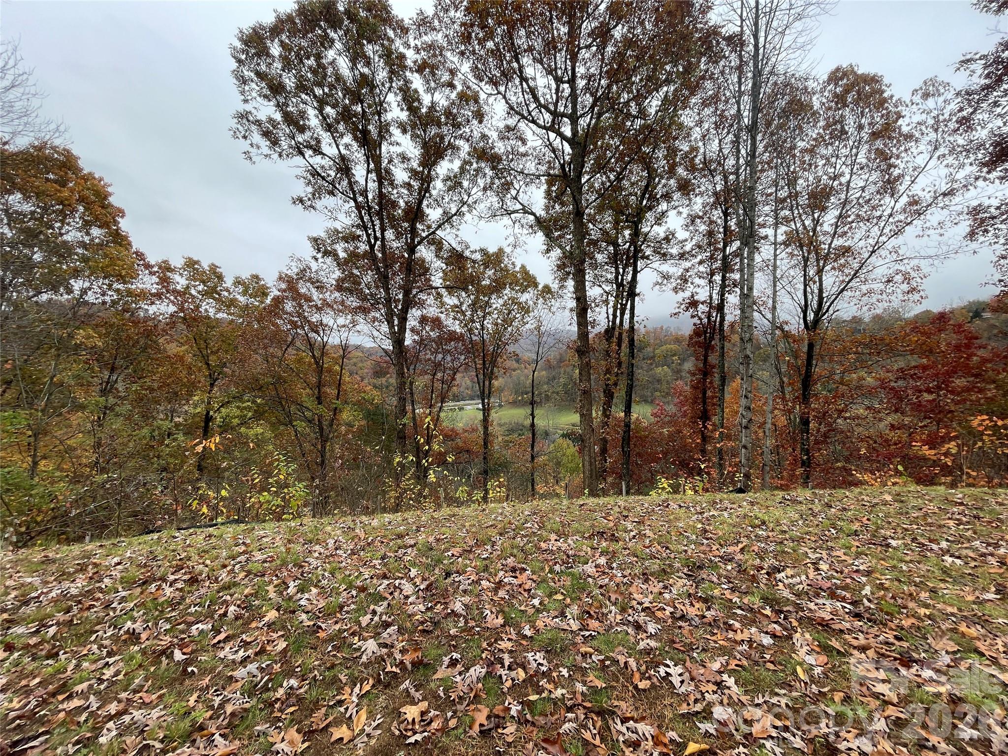 97 Junebug Trail Property Photo 1