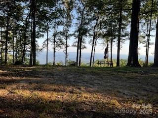 00 Mackerel Mountain Road Property Photo 5