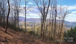 00 Mackerel Mountain Road Property Photo 7