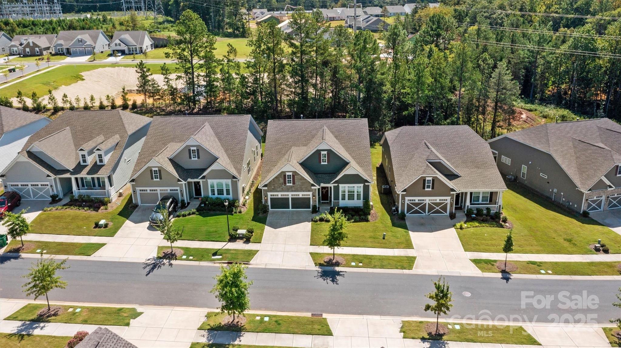 12508 Old Iron Lane Property Photo 4