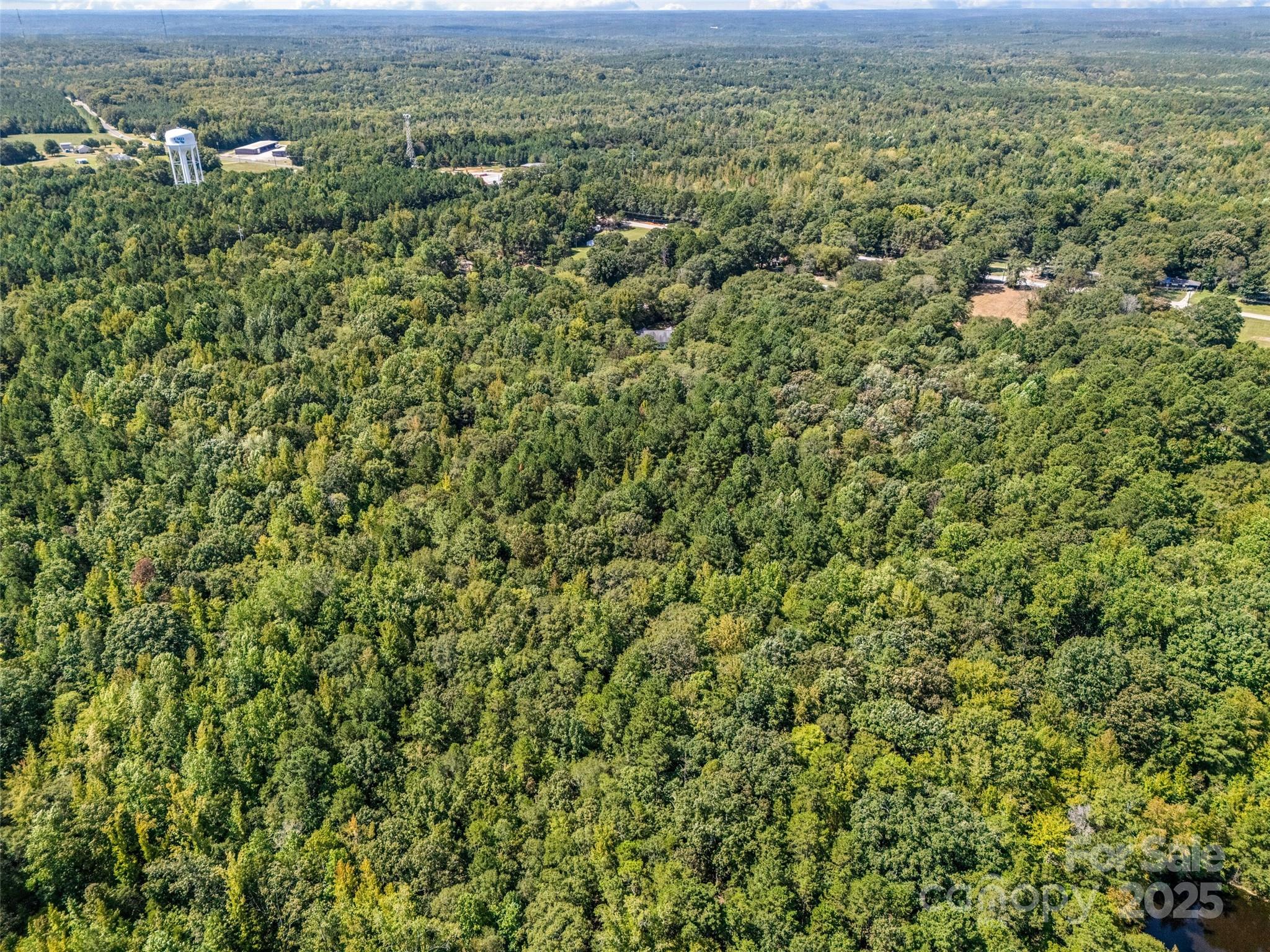 38+/- Ac Main Street Property Photo 7