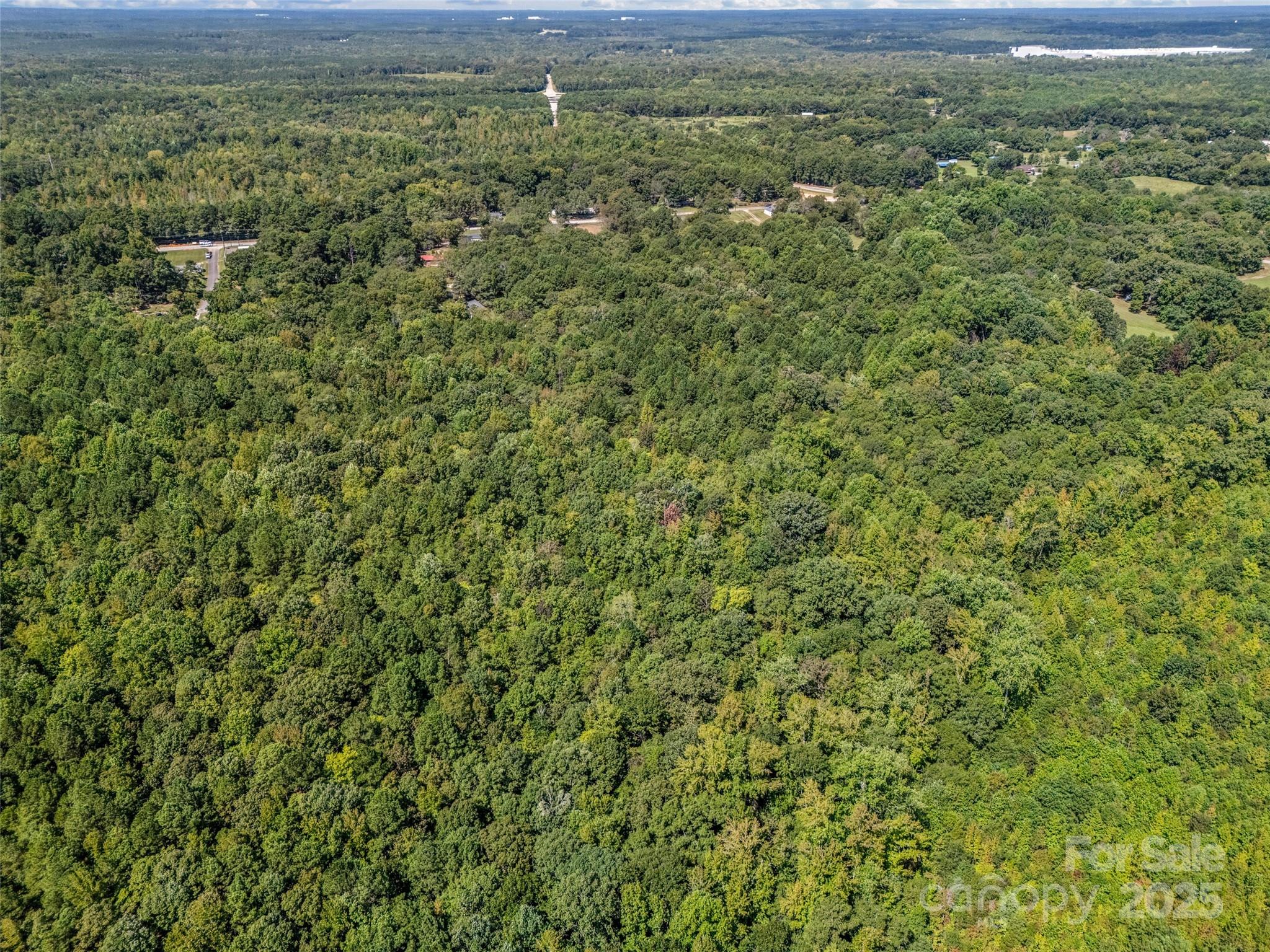 38+/- Ac Main Street Property Photo 8