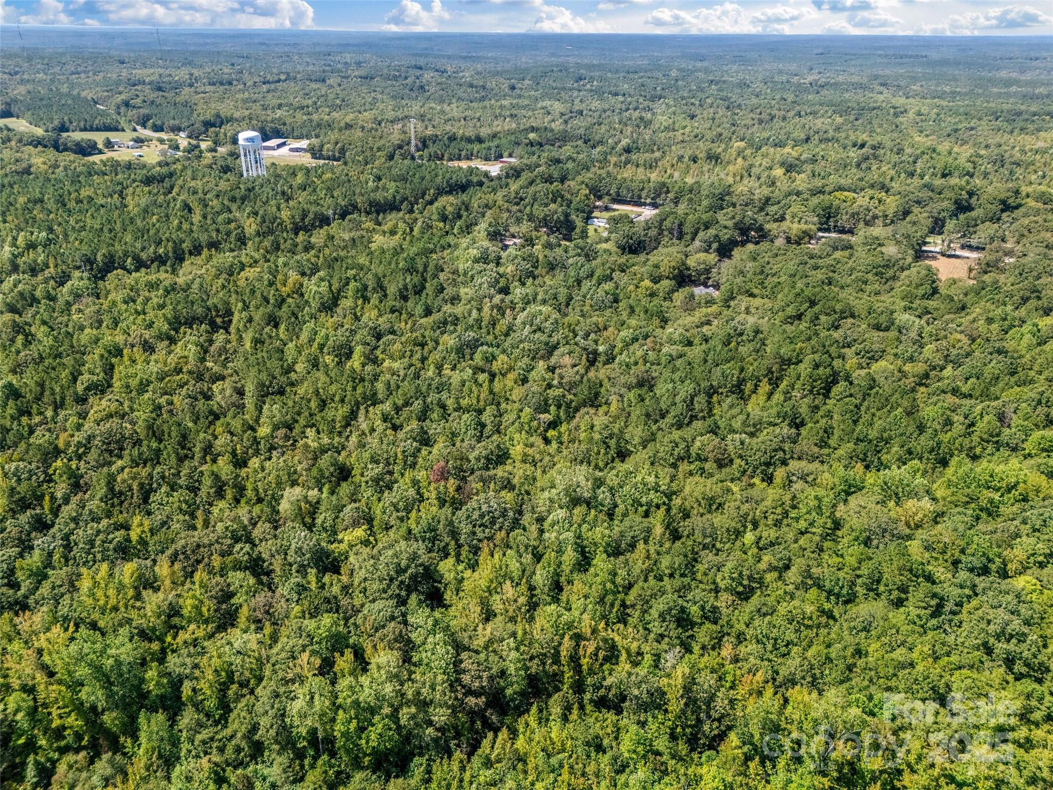 38+/- Ac Main Street Property Photo 14