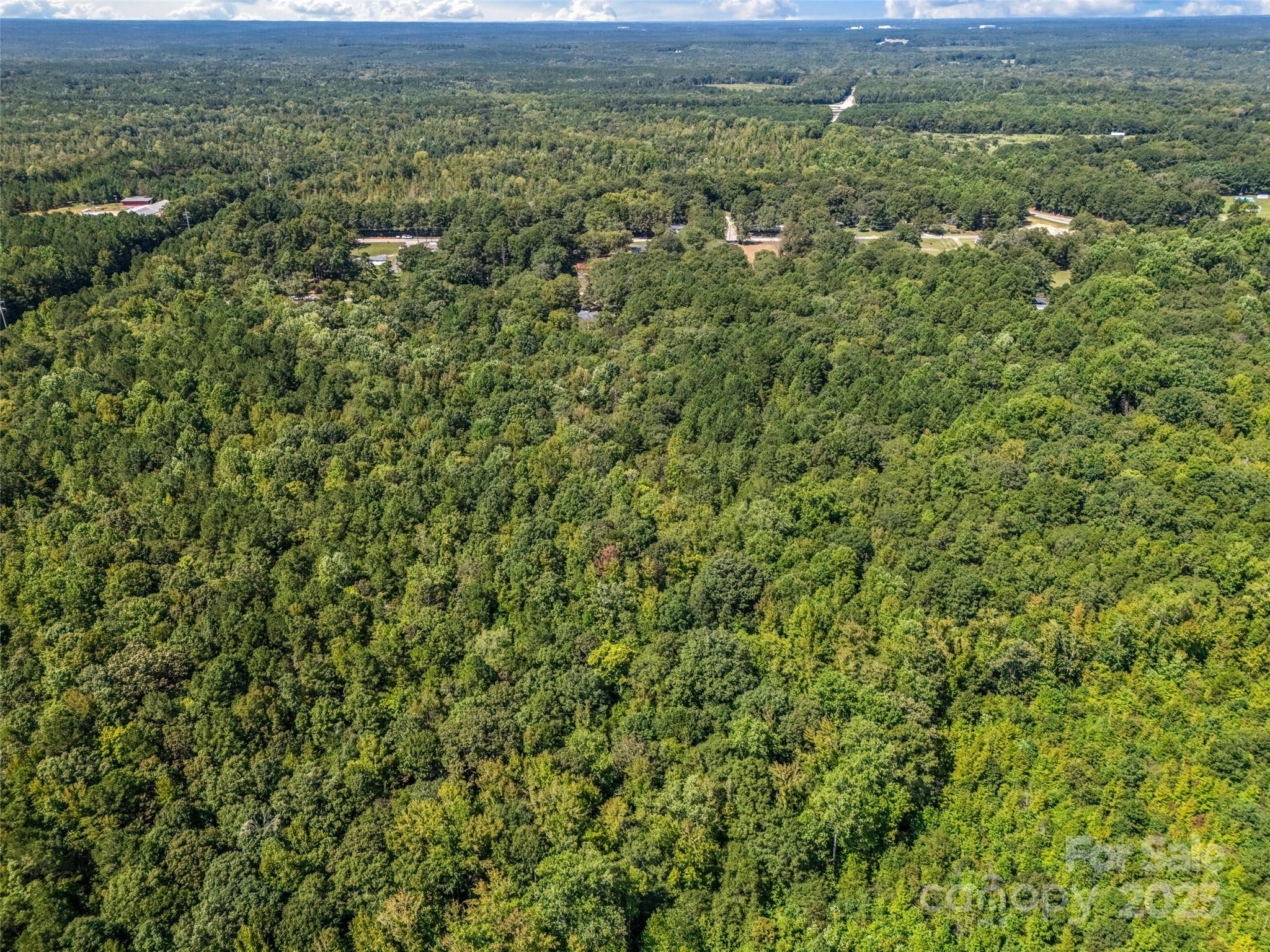 38+/- Ac Main Street Property Photo 15