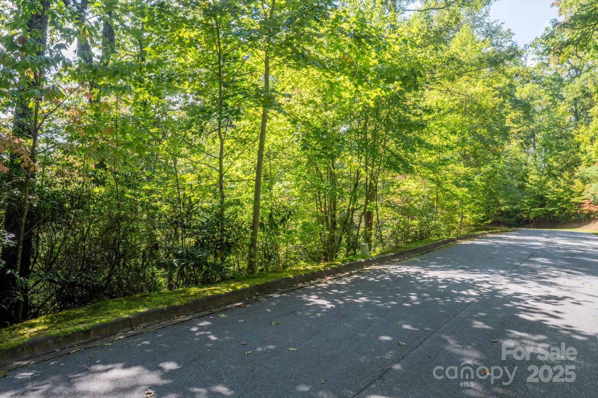 Tbd Pine Mountain Trail M79 Property Photo 1
