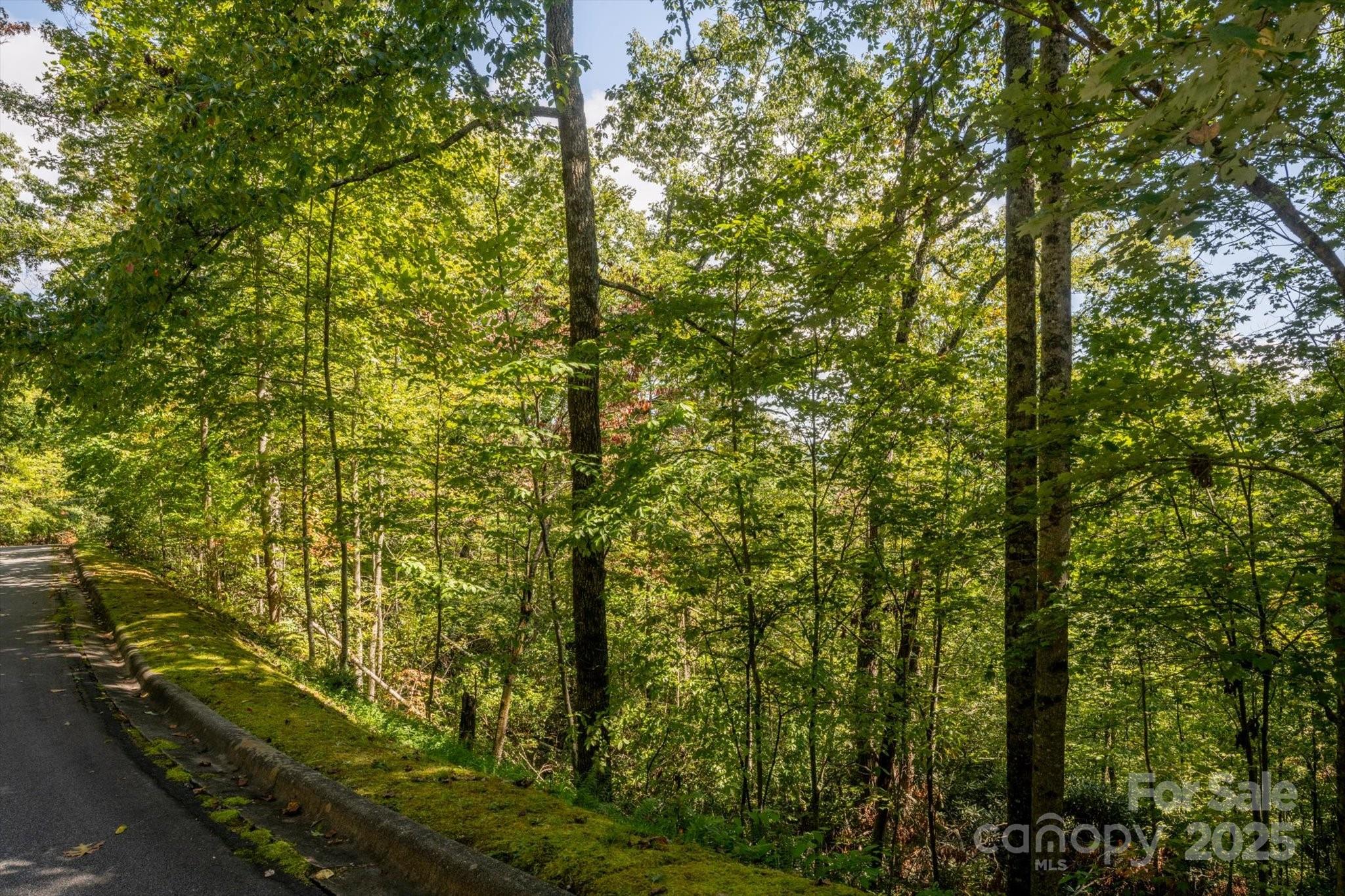 Tbd Pine Mountain Trail M79 Property Photo 2