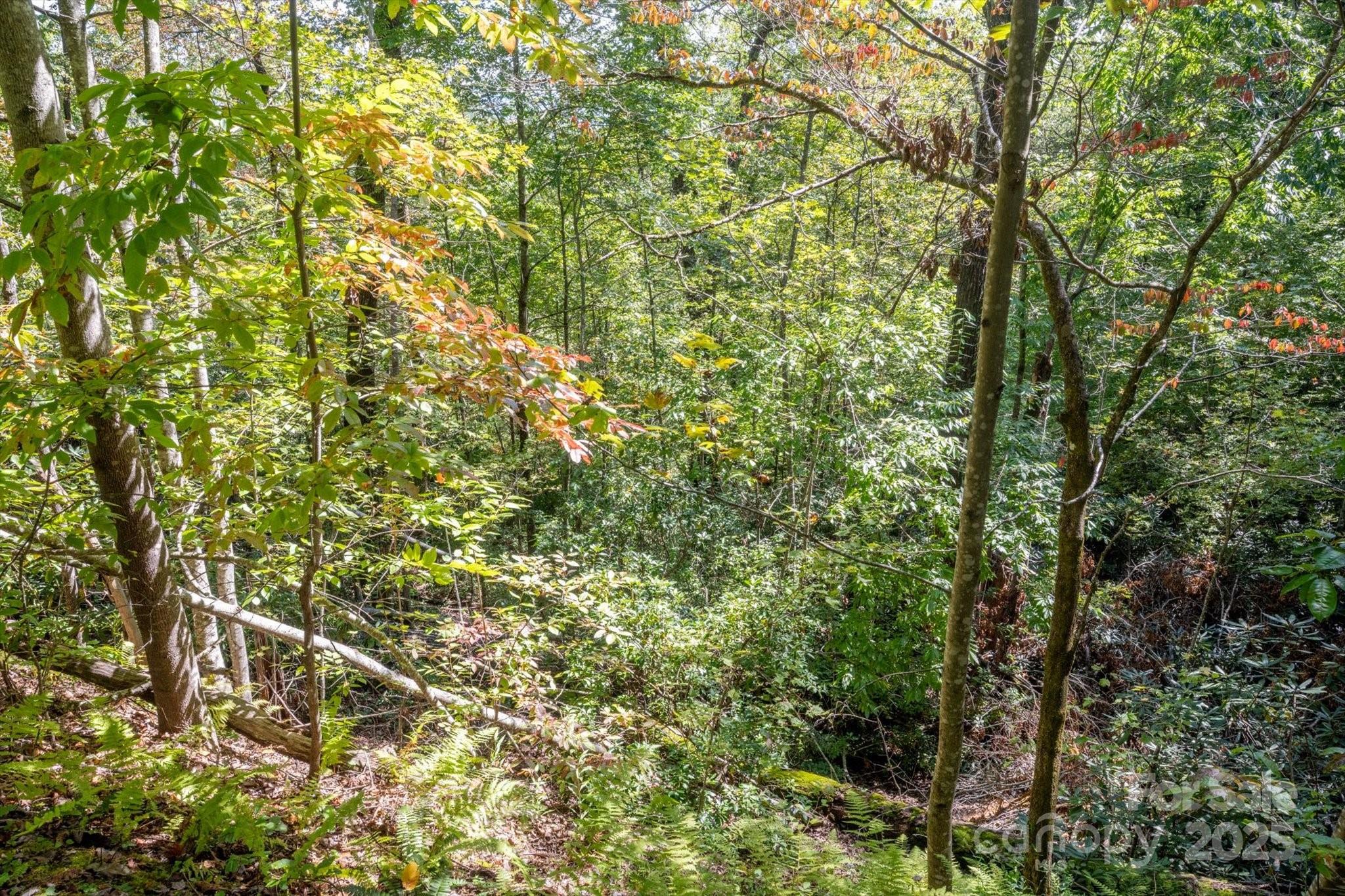 Tbd Pine Mountain Trail M79 Property Photo 3