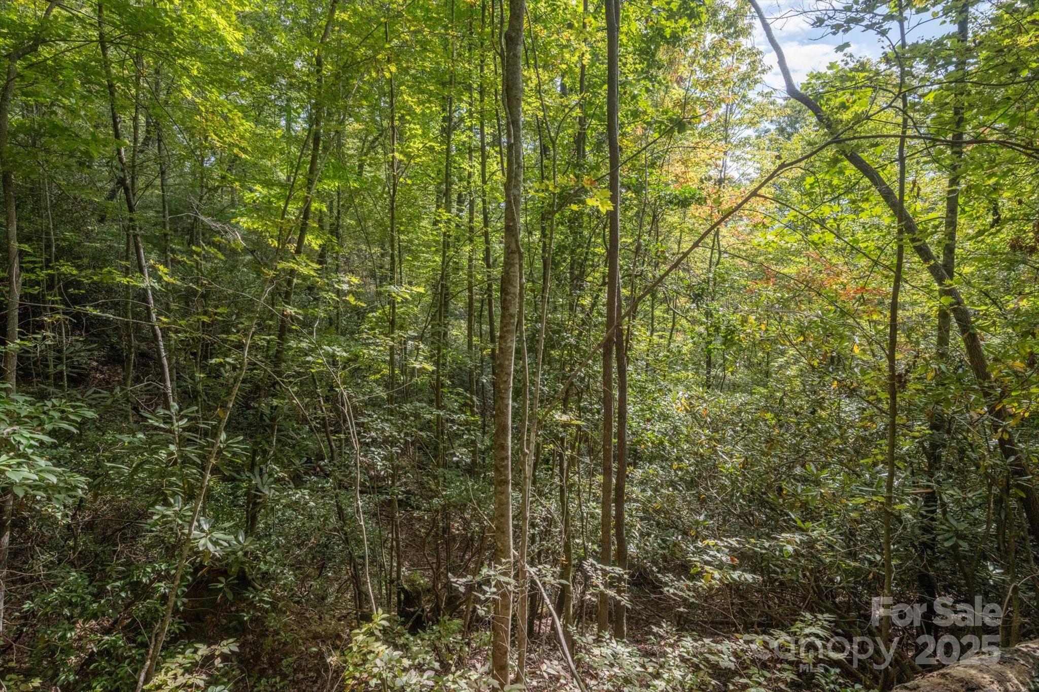 Tbd Pine Mountain Trail M79 Property Photo 4