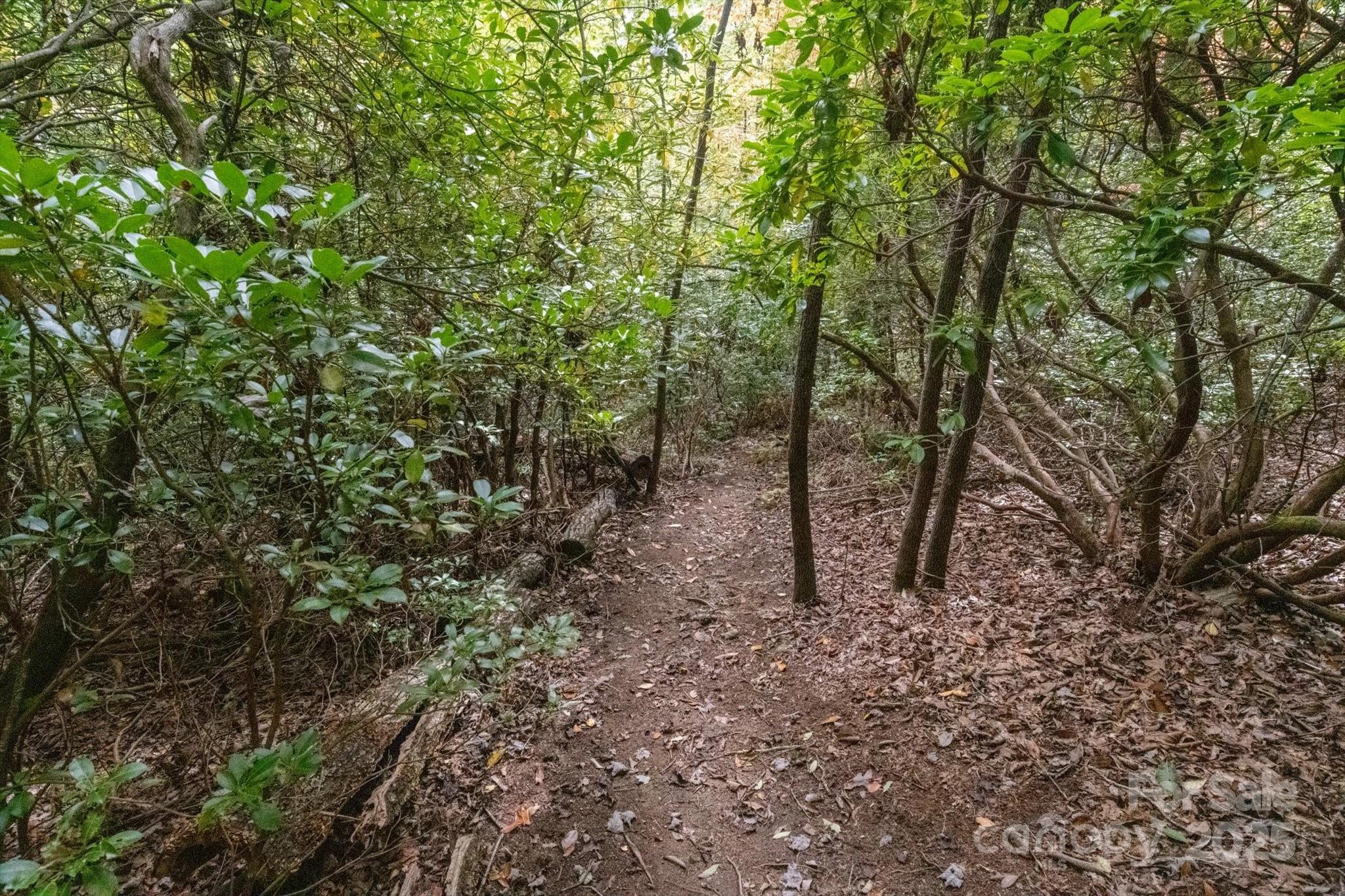 Tbd Pine Mountain Trail M79 Property Photo 5