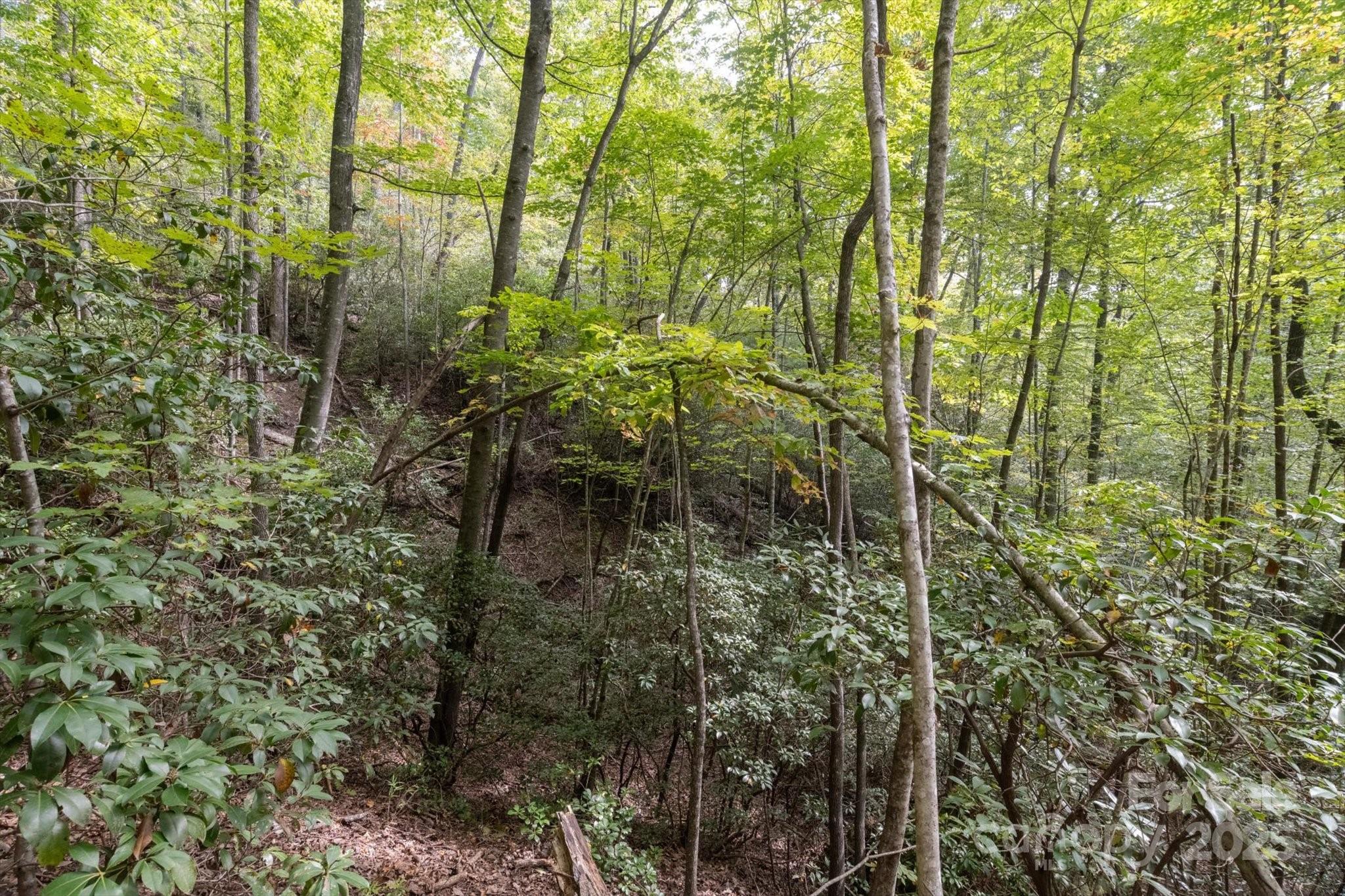 Tbd Pine Mountain Trail M79 Property Photo 6