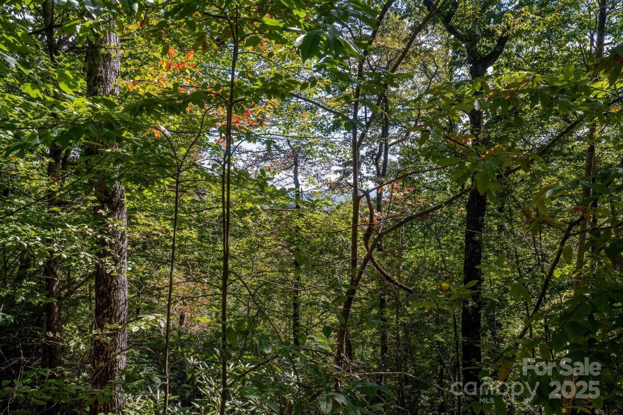 Tbd Pine Mountain Trail M79 Property Photo 15