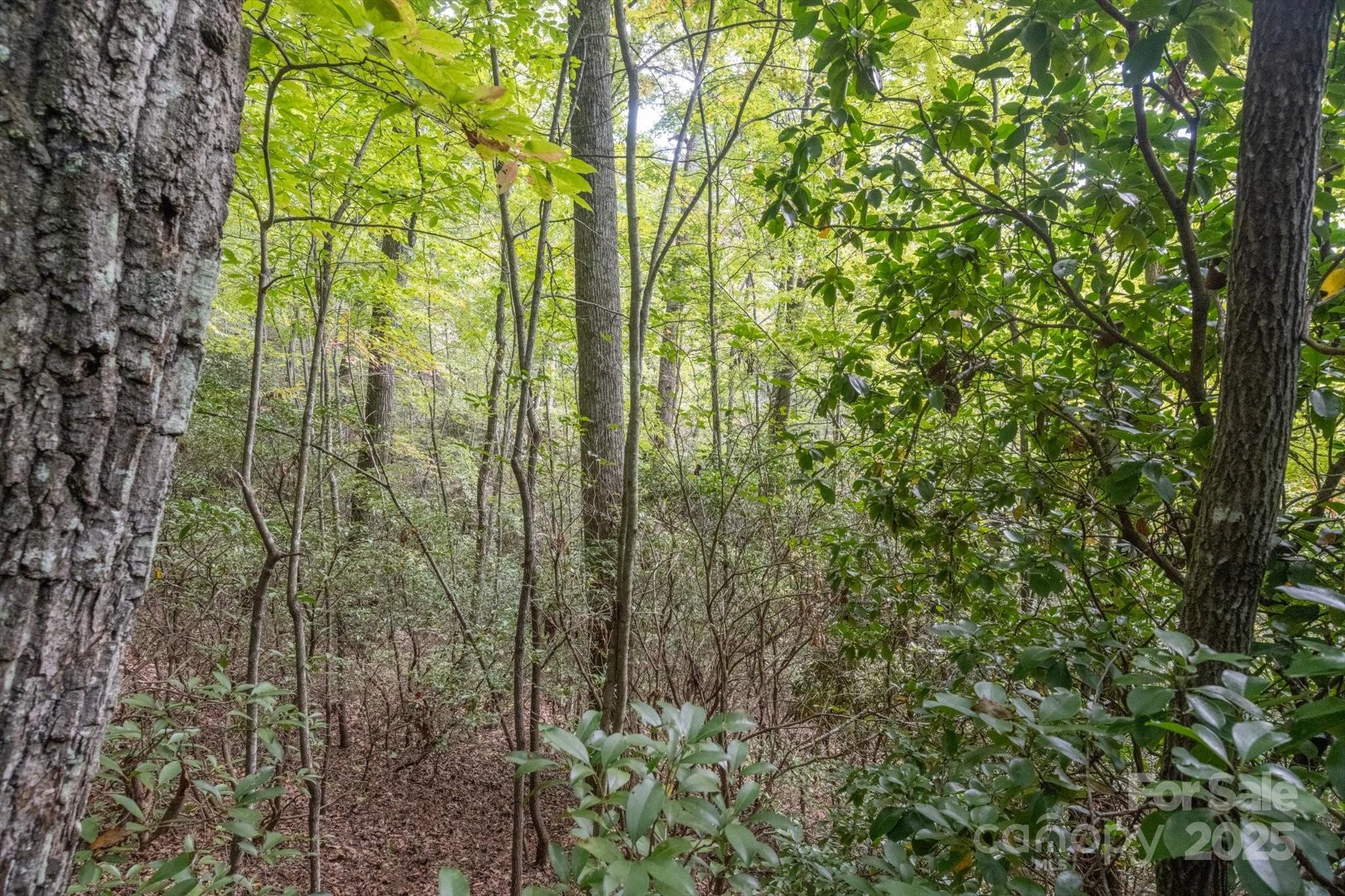 Tbd Pine Mountain Trail M79 Property Photo 21