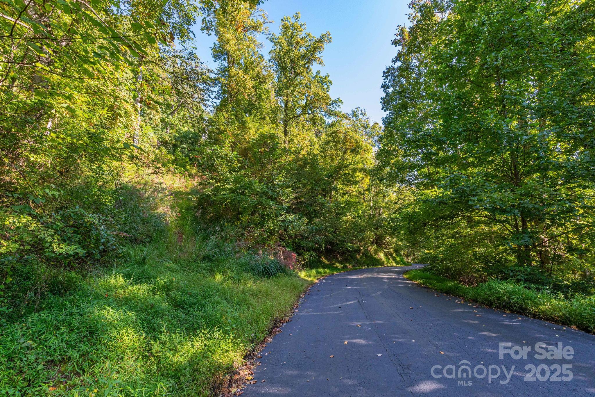 300 Running Deer Lane 70 Property Photo 4
