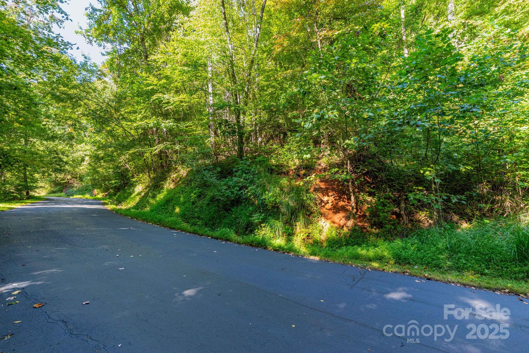 300 Running Deer Lane 70 Property Photo 5