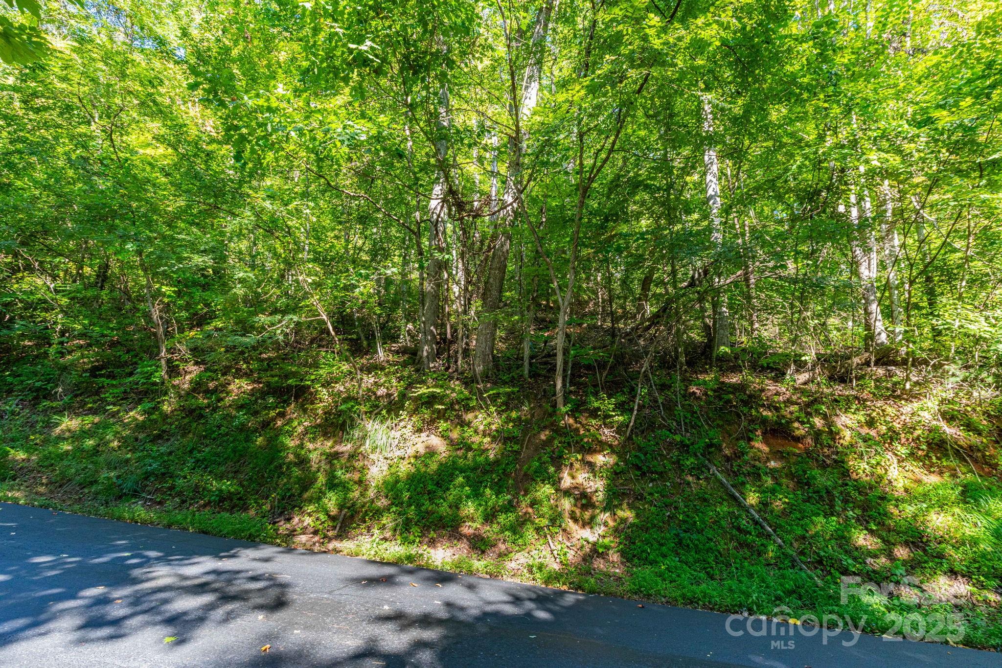 300 Running Deer Lane 70 Property Photo 6