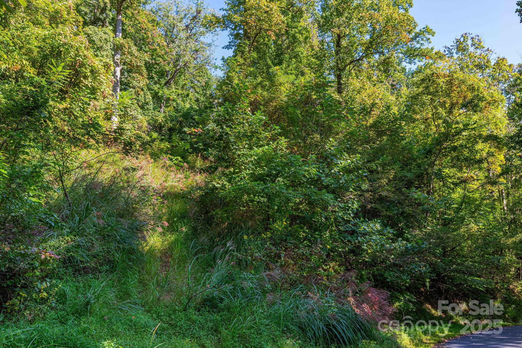 300 Running Deer Lane 70 Property Photo 7