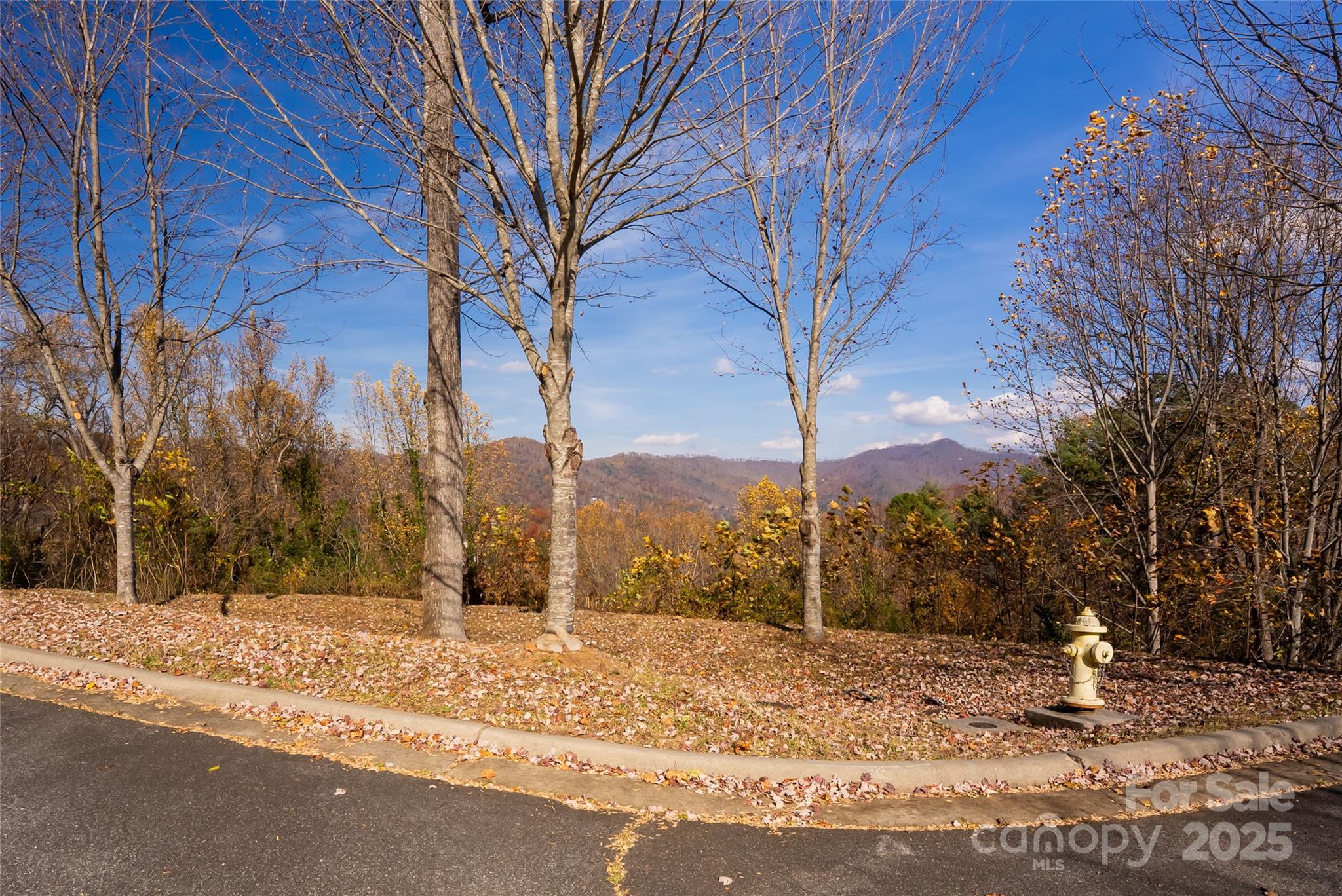 33 Grovepoint Way Property Photo 3