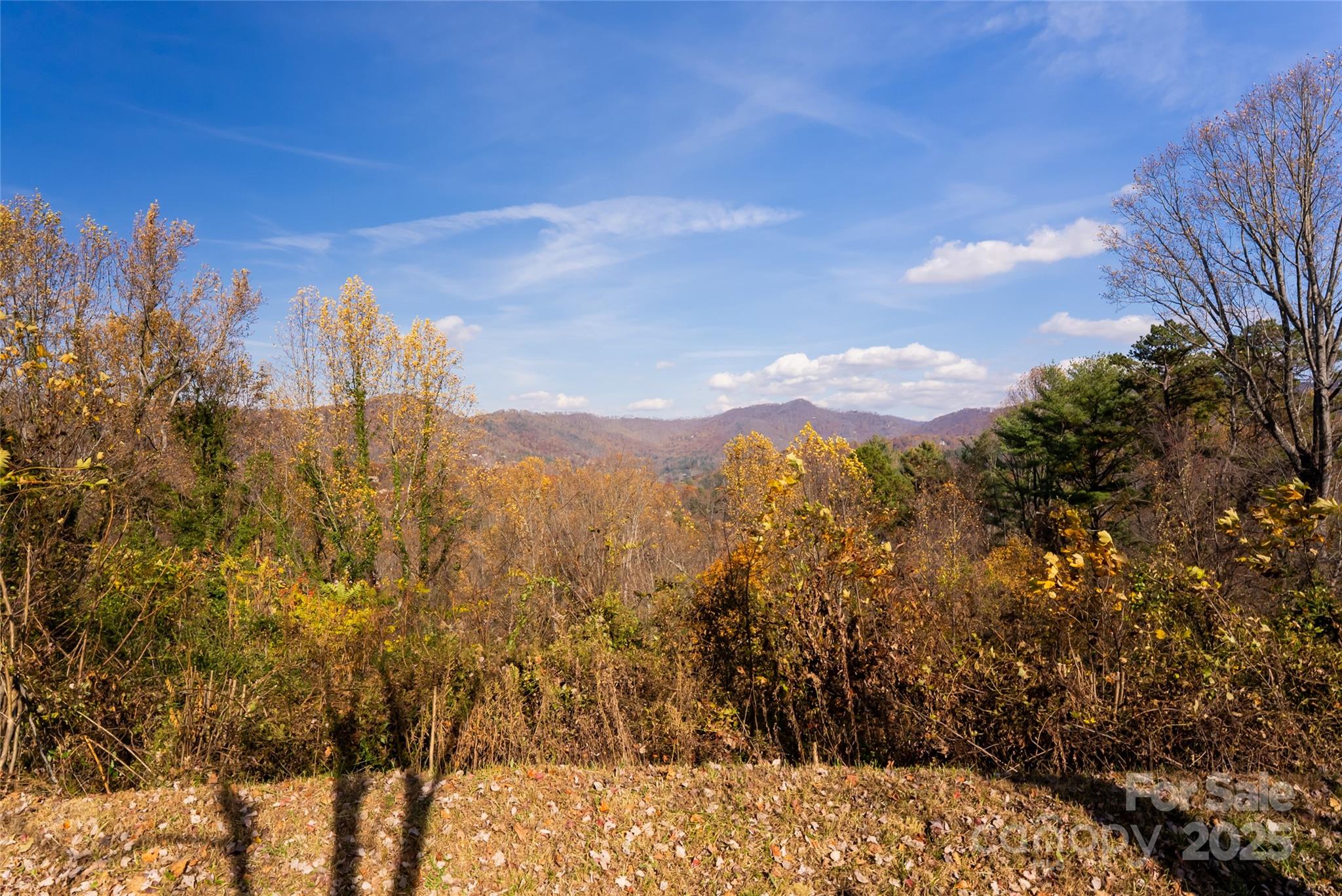 33 Grovepoint Way Property Photo 6