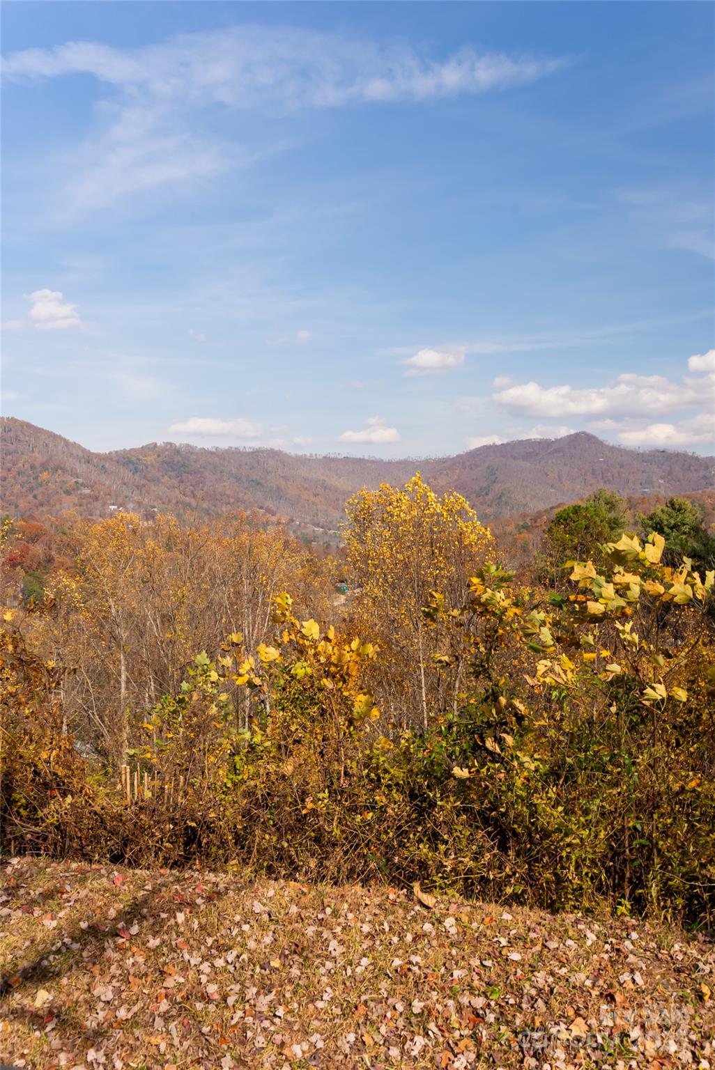 33 Grovepoint Way Property Photo 27