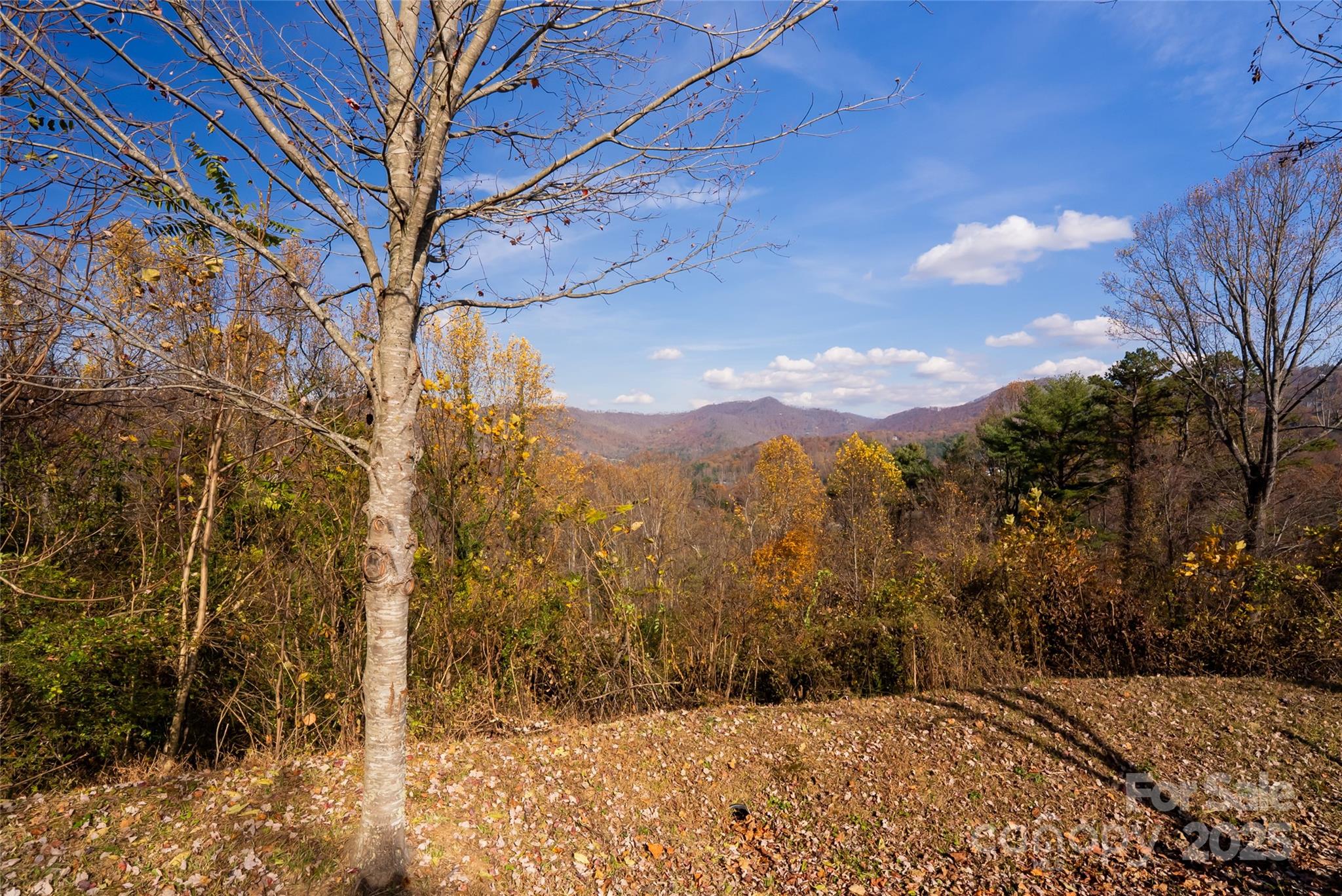 33 Grovepoint Way Property Photo 29