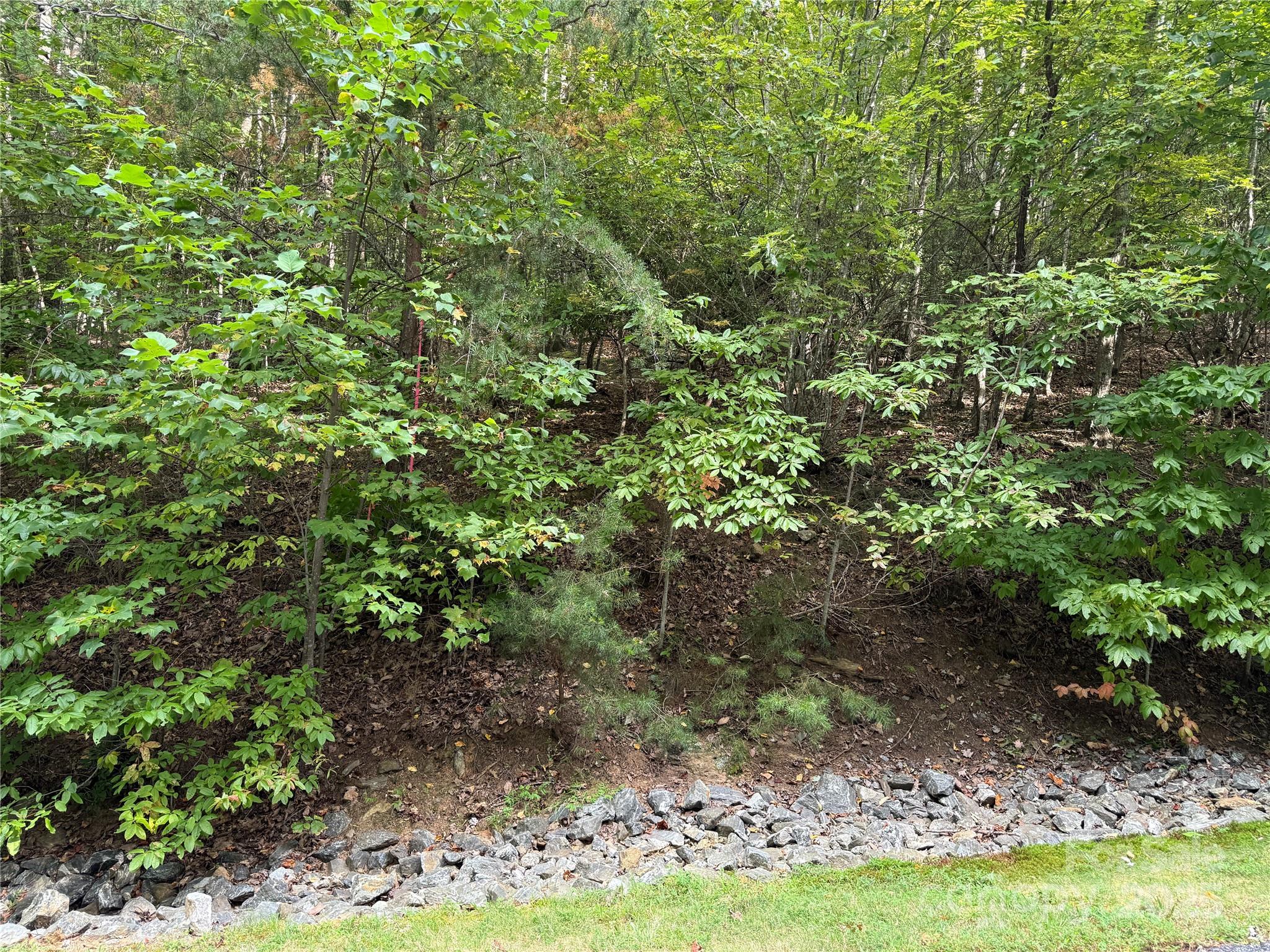 1029 Chippawa Drive 67 Property Photo 2