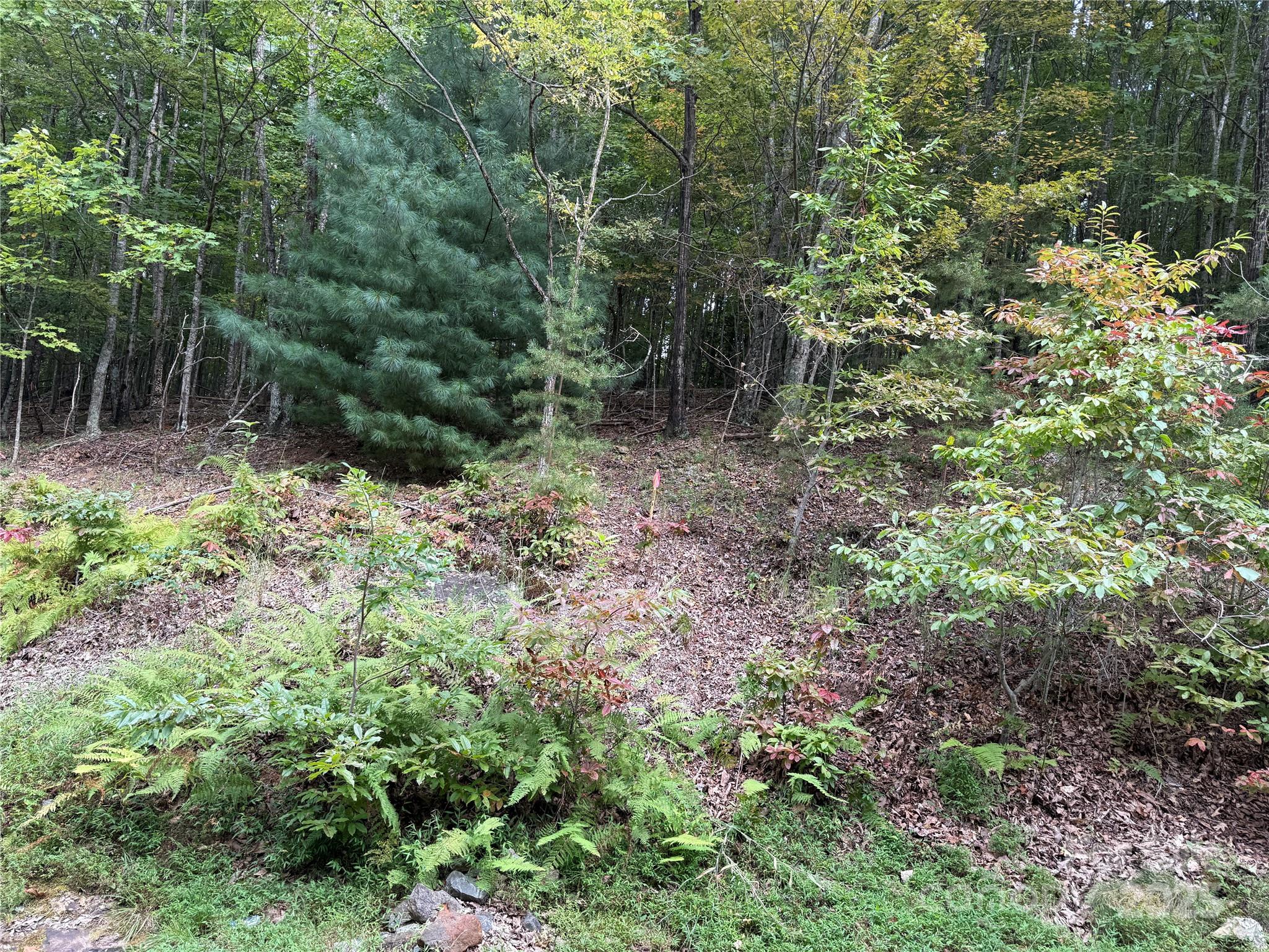 1029 Chippawa Drive 67 Property Photo 3