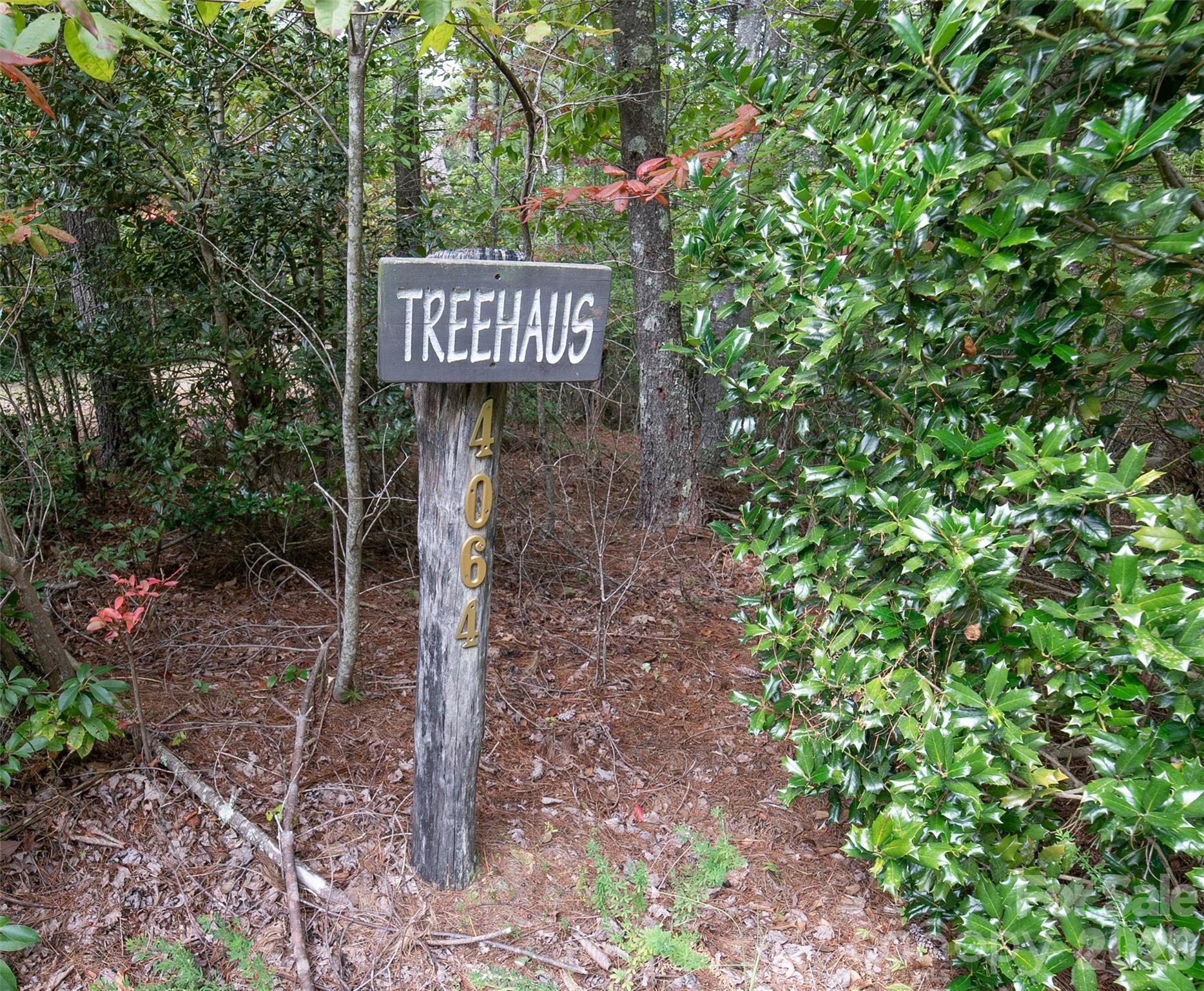 4064 Dense Acre Trail Property Photo 2