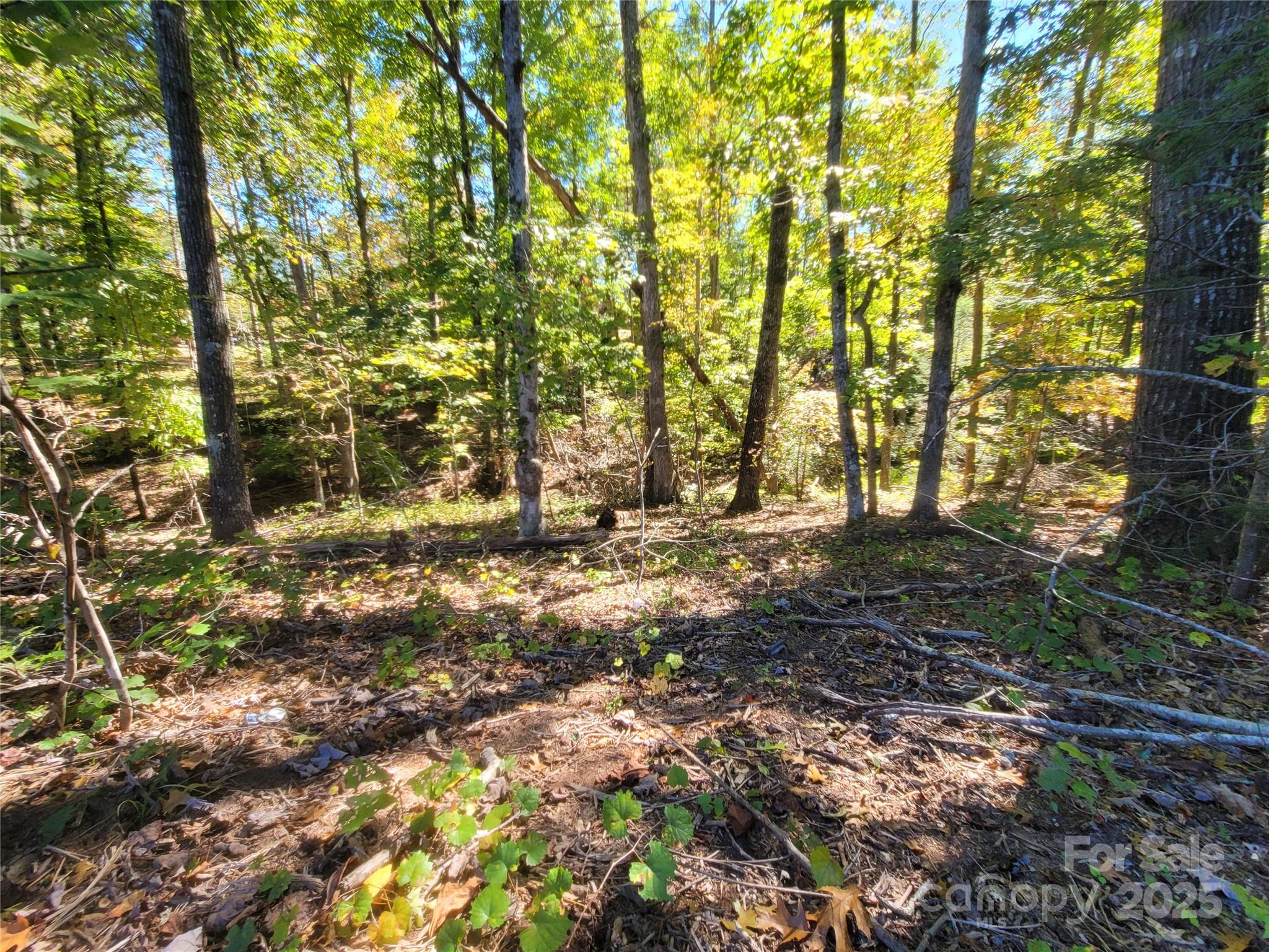 0 Horse Creek Drive 14 Property Photo 3