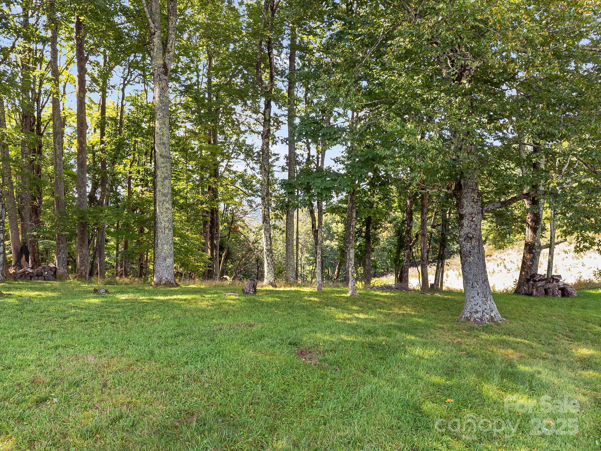 #62 Poplar Forest Drive Property Photo 5