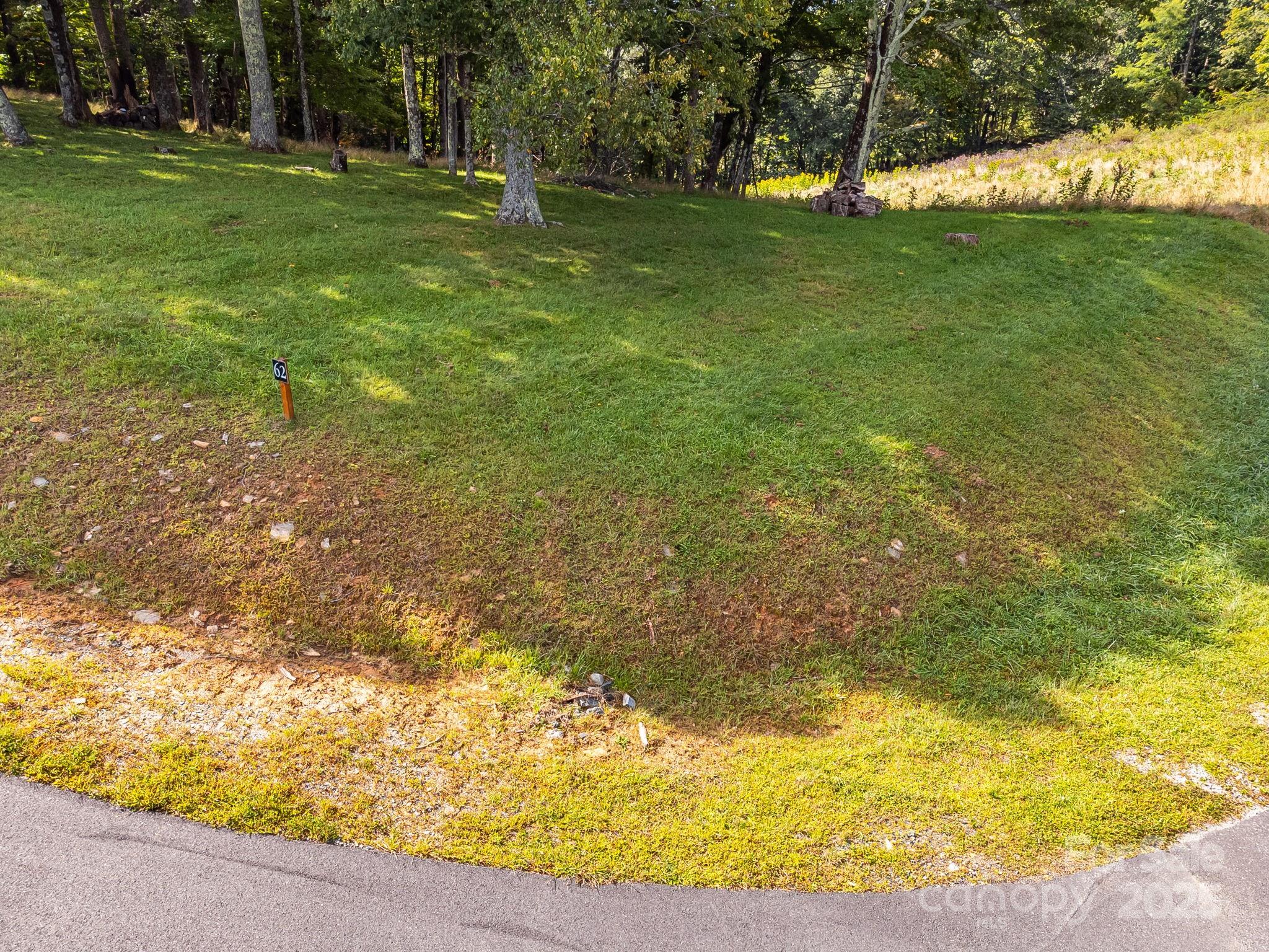 #62 Poplar Forest Drive Property Photo 9