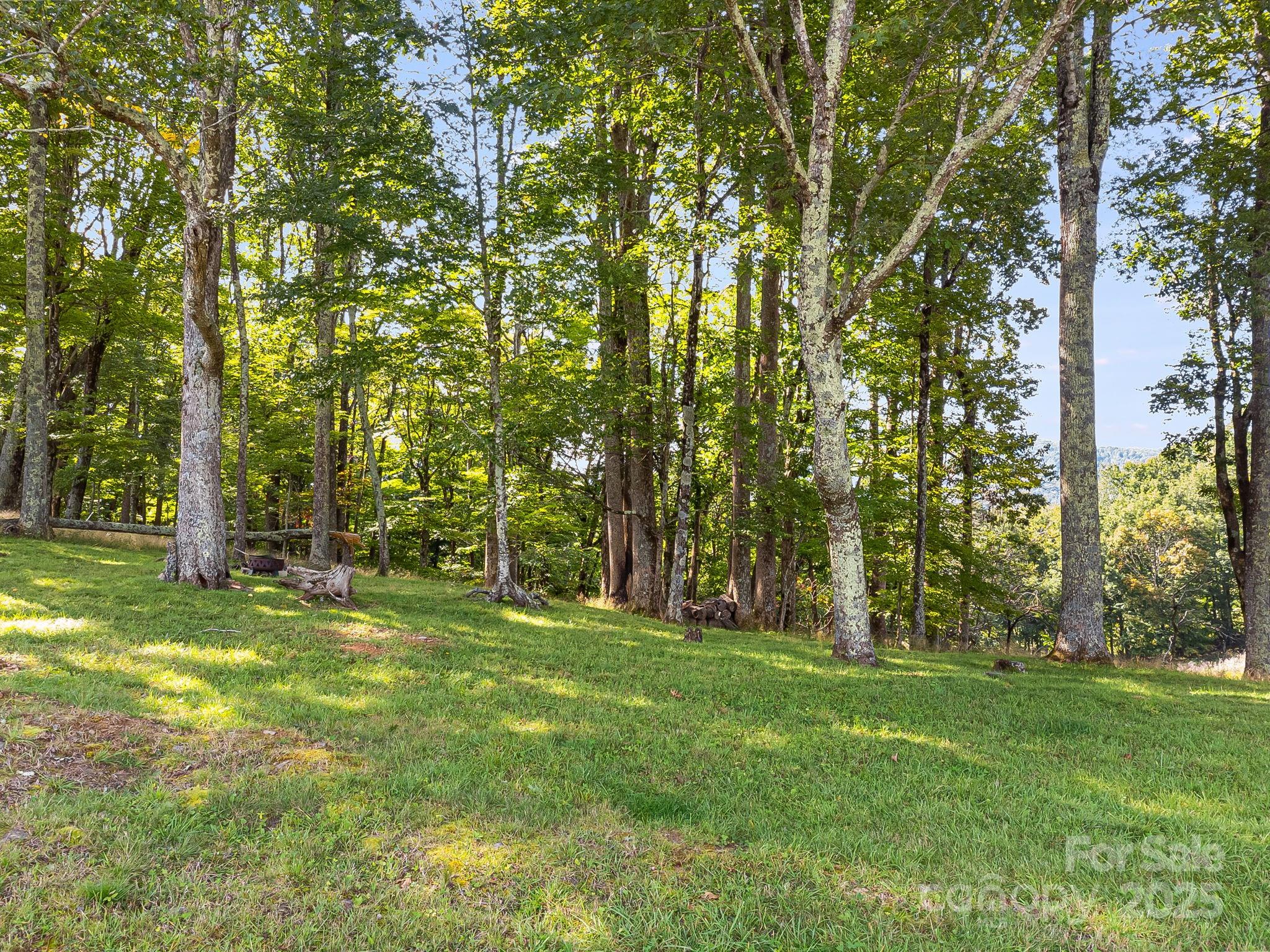 #62 Poplar Forest Drive Property Photo 11