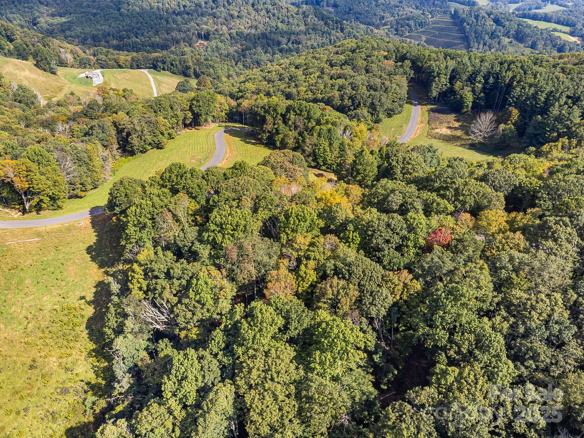 #62 Poplar Forest Drive Property Photo 12