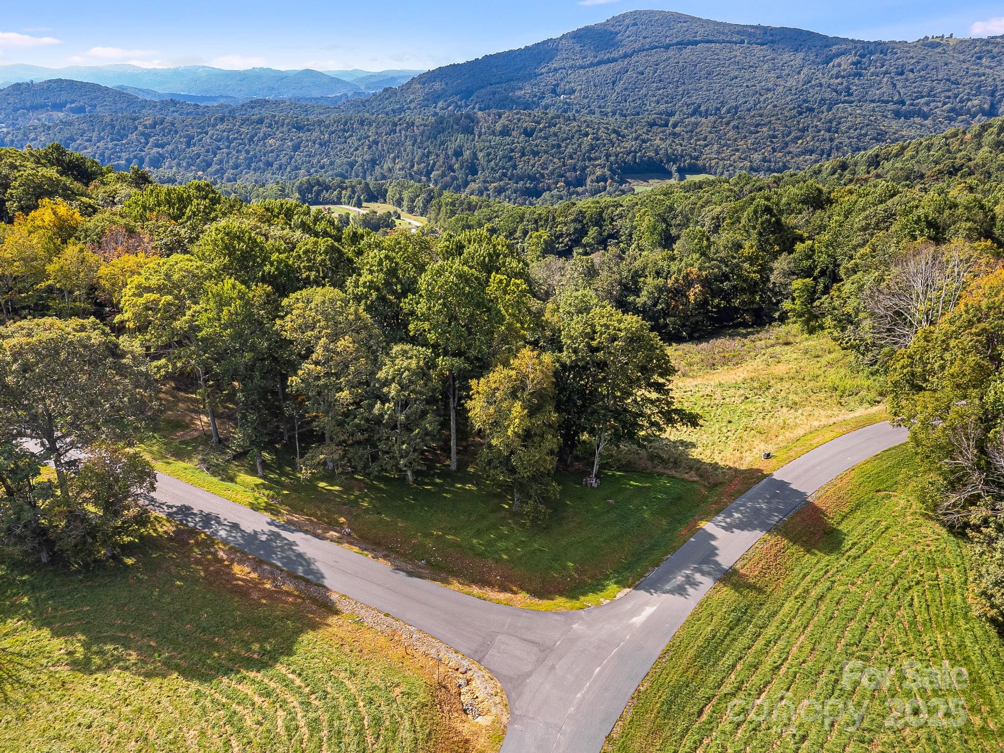 #62 Poplar Forest Drive Property Photo 15