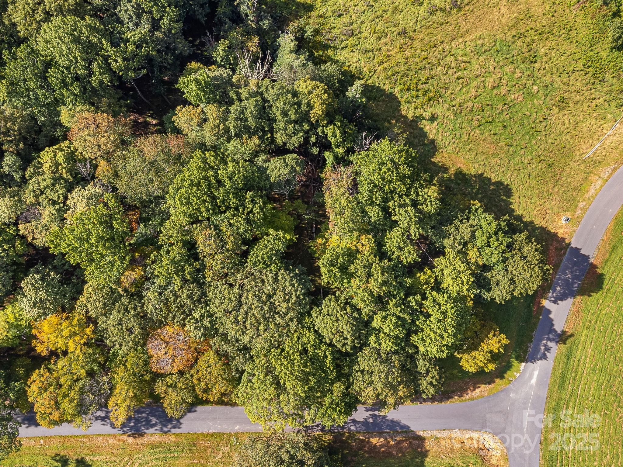 #62 Poplar Forest Drive Property Photo 16