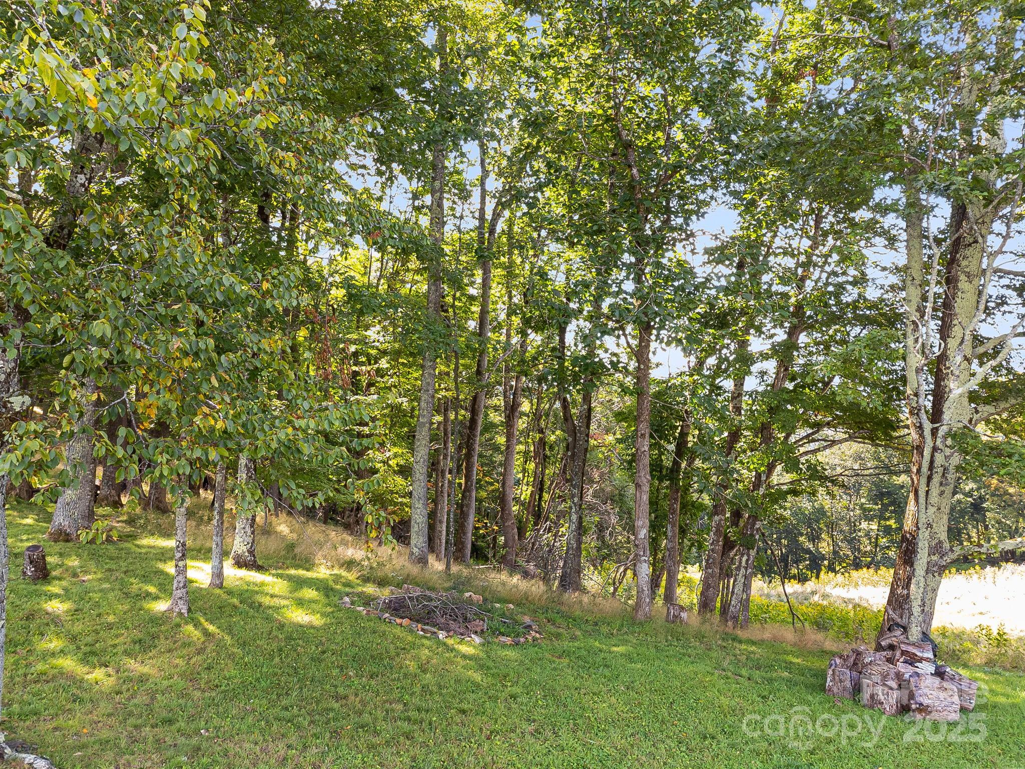 #62 Poplar Forest Drive Property Photo 17