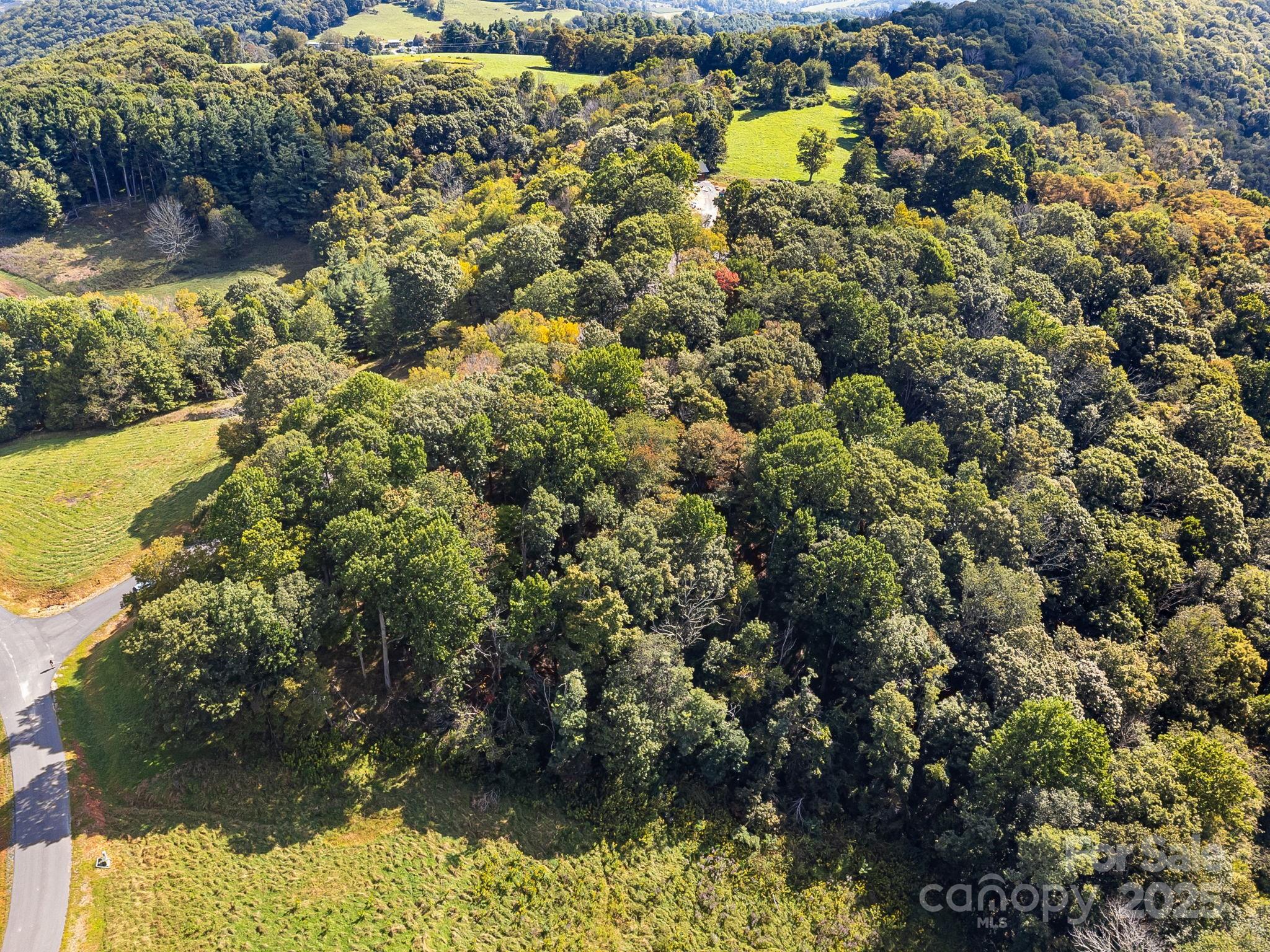 #62 Poplar Forest Drive Property Photo 18