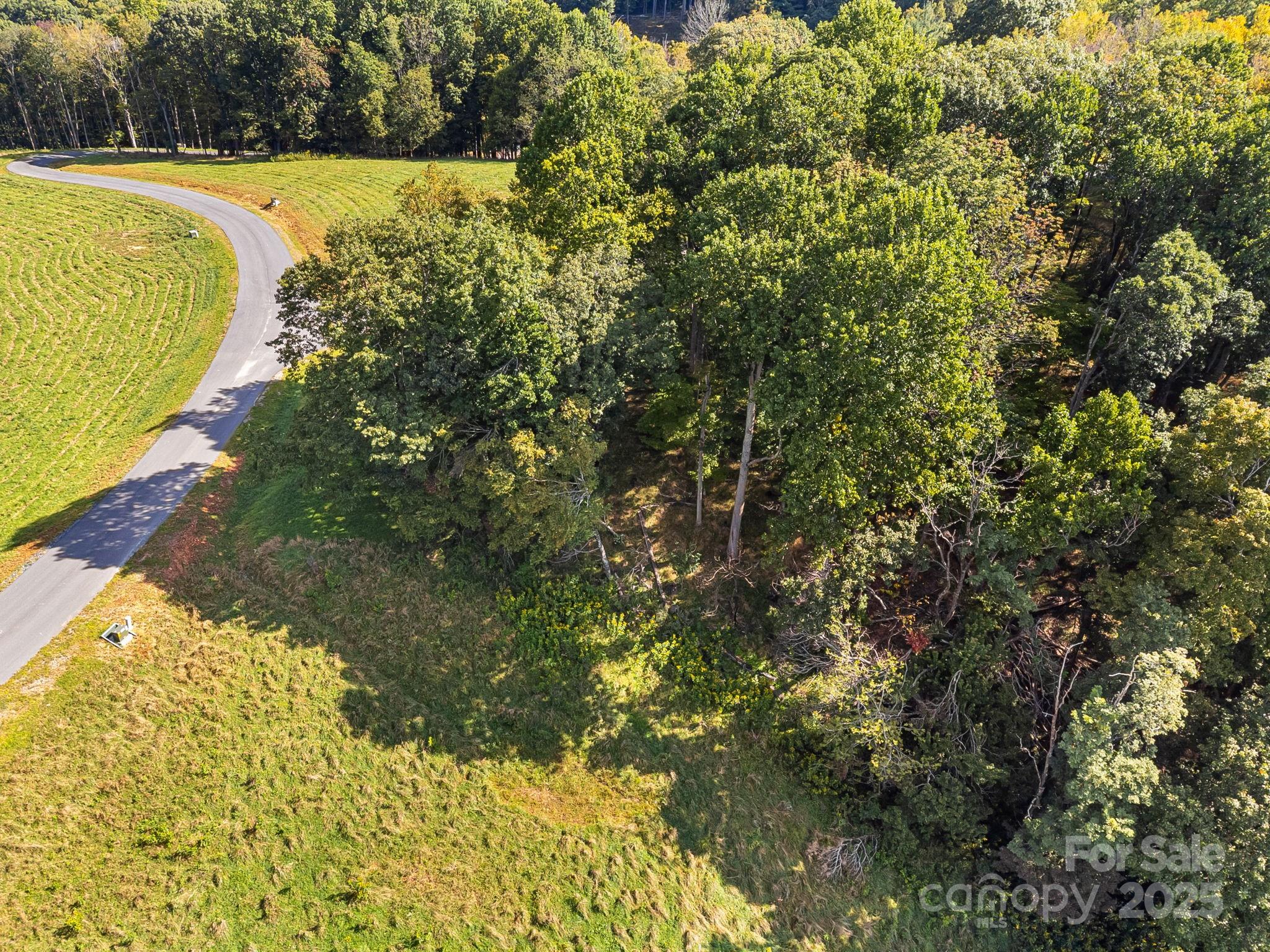 #62 Poplar Forest Drive Property Photo 19