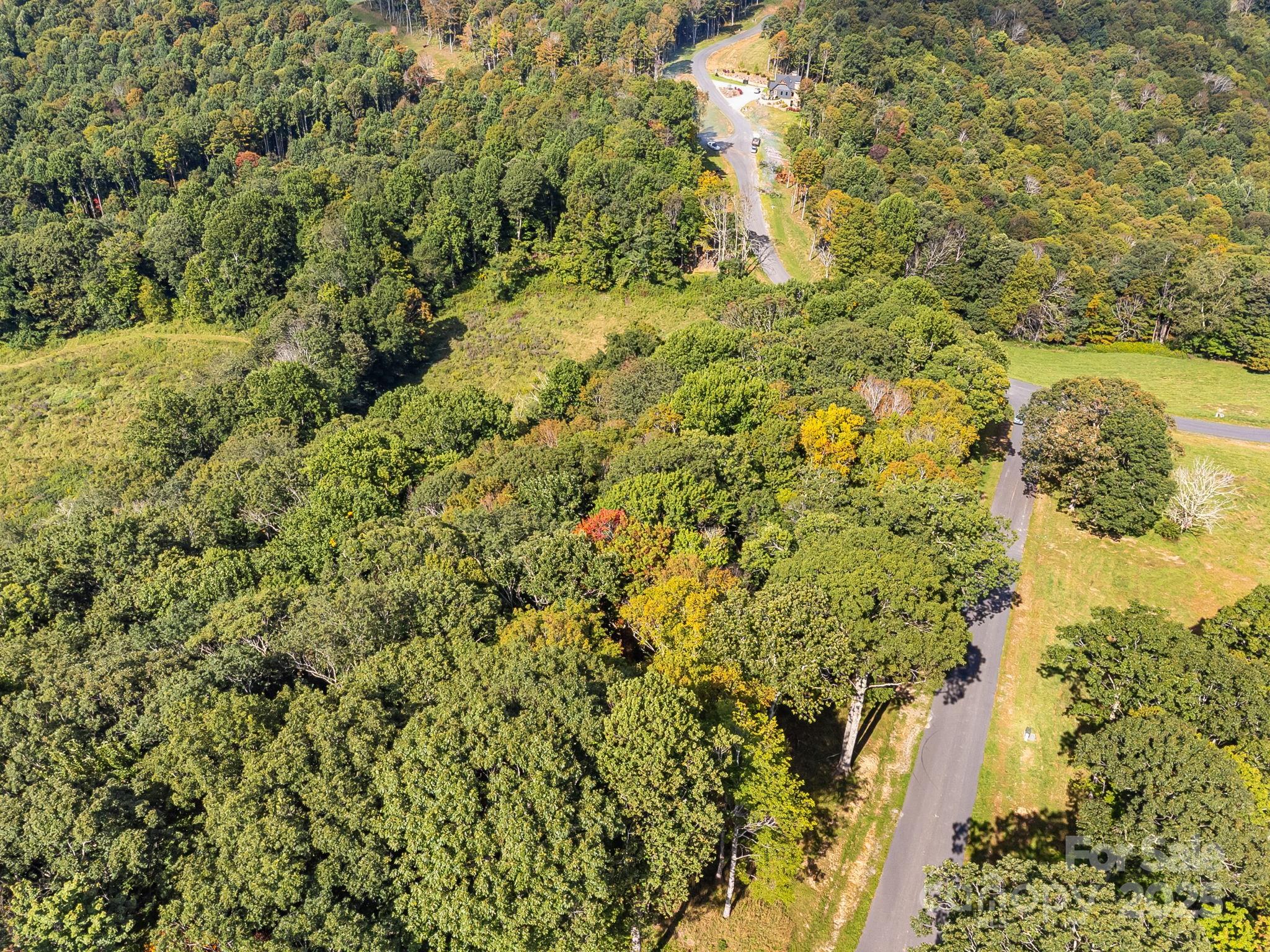 #62 Poplar Forest Drive Property Photo 24