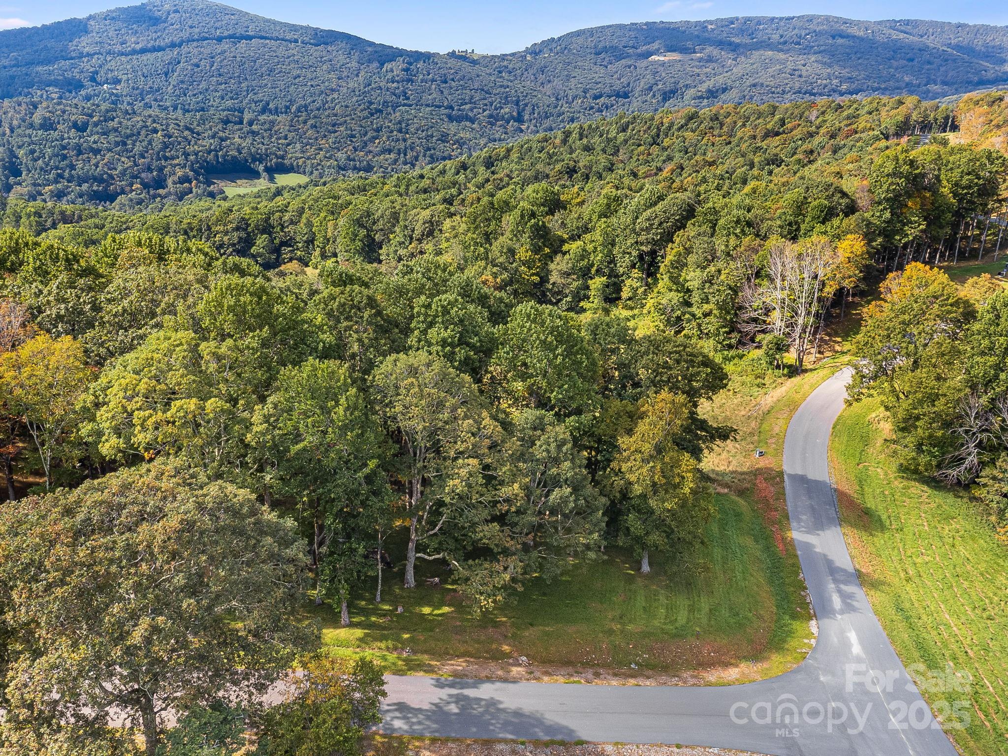 #62 Poplar Forest Drive Property Photo 27