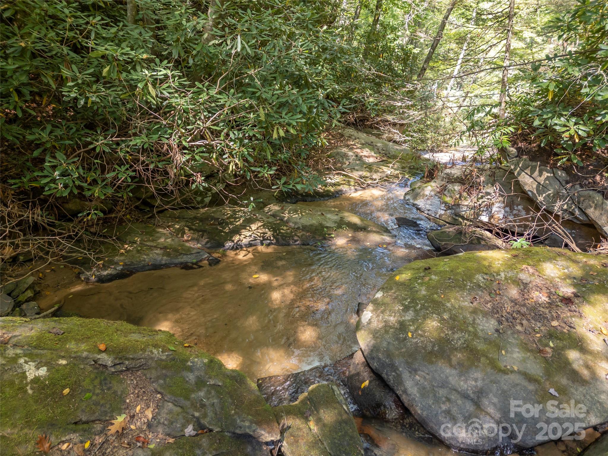 00 Camp Creek Road Property Photo 36