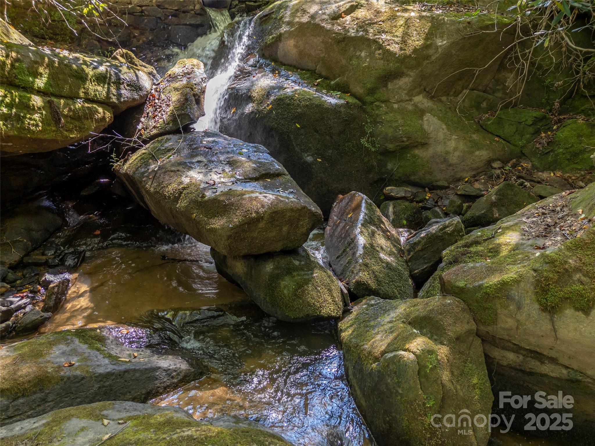 00 Camp Creek Road Property Photo 37