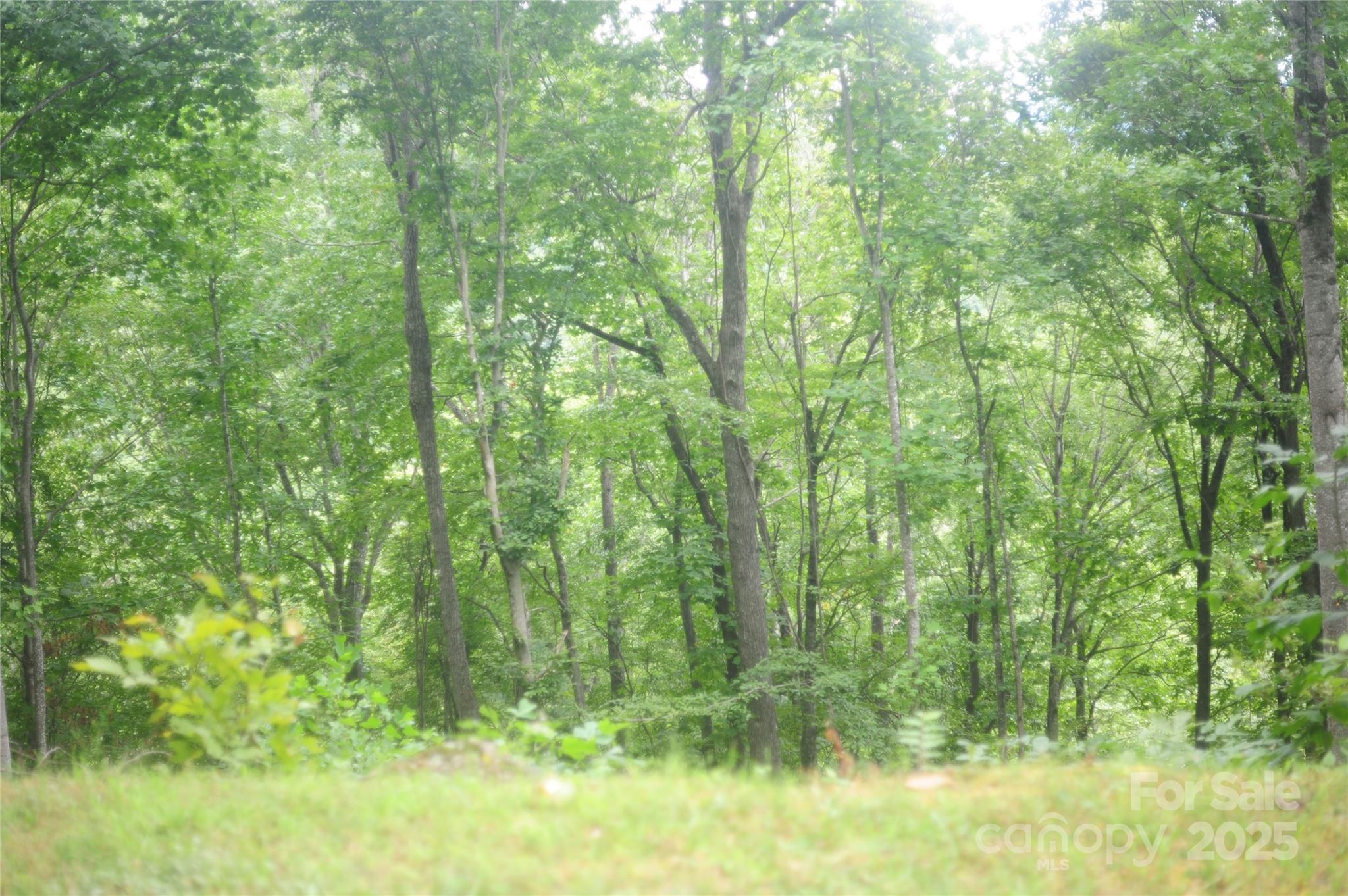 9 Wood Haven Lane 108 Property Photo 1